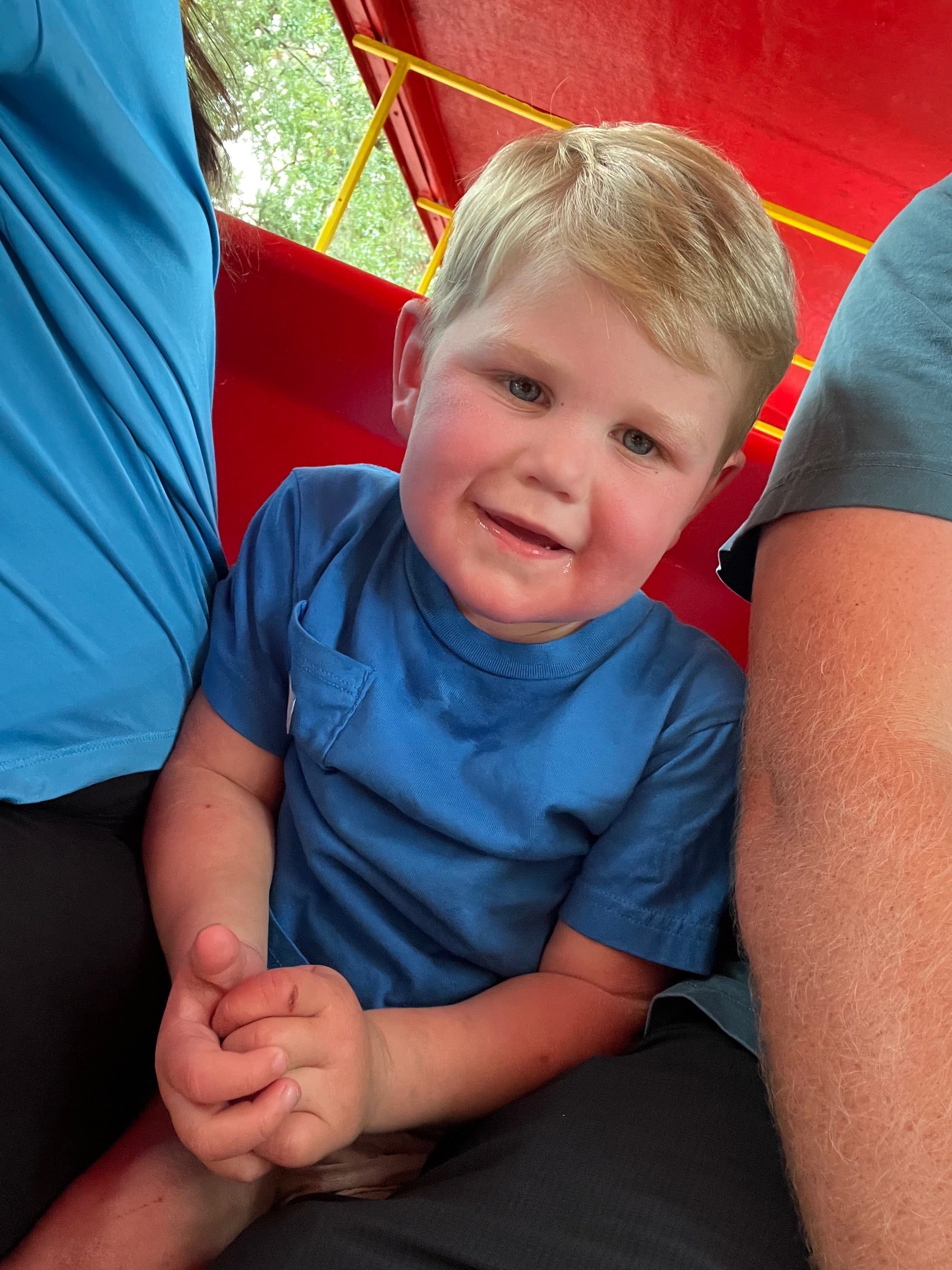 Beckham Reed spent time in the ICE and required life-saving intervention from doctors after being stung over 150 times.