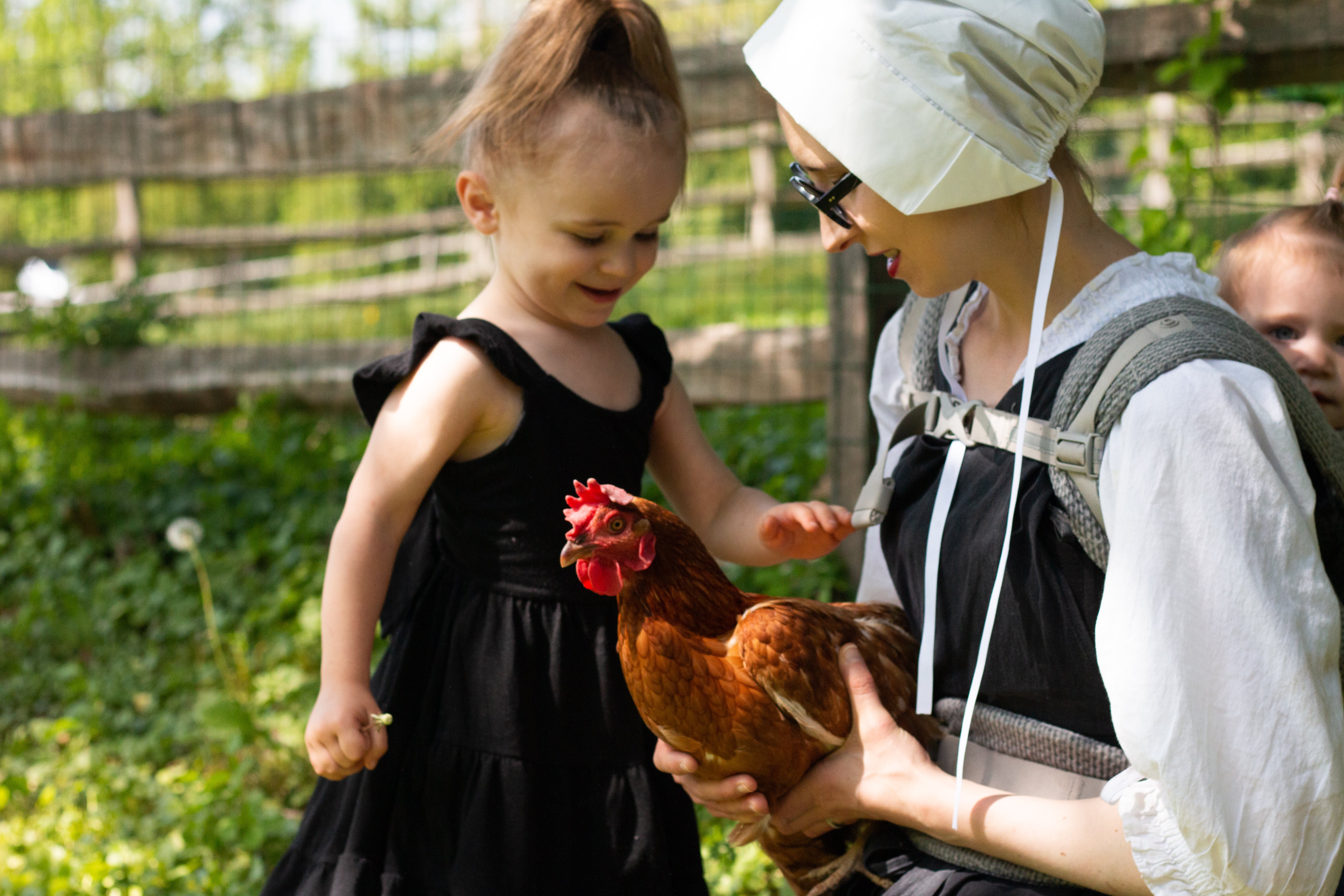 The Collinses keep chickens in the coop outside in their fenced-yard, who provide eggs daily. Simone says she particularly wanted chickens that laid blue eggs, and Malcolm spent months tracking some down for her
