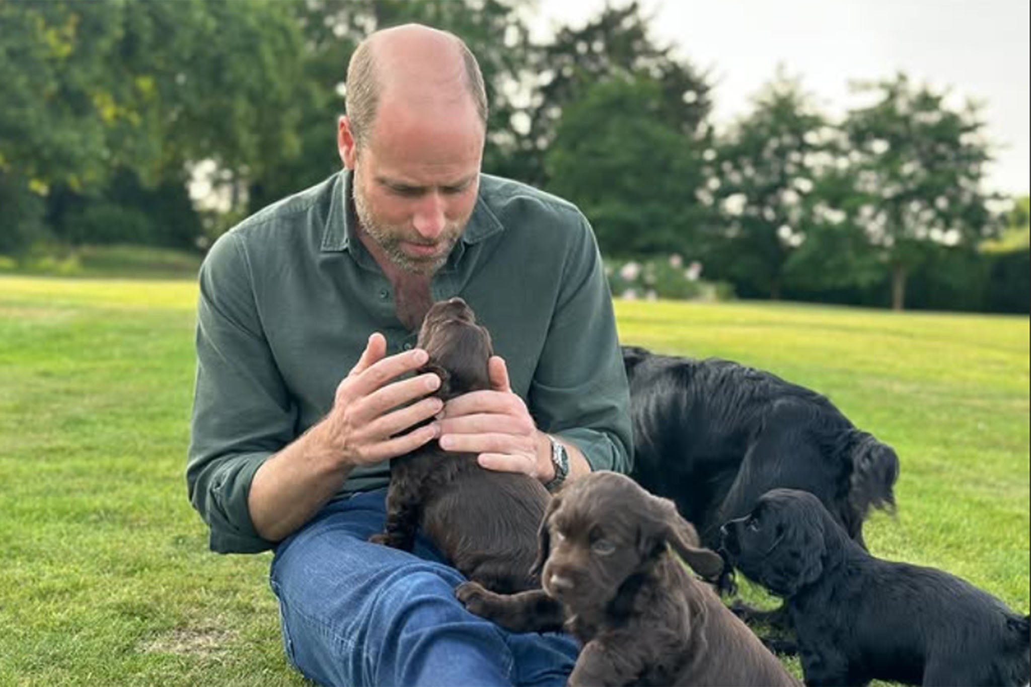 <p>The Prince of Wales has been criticised for breeding his cocker spaniel</p>