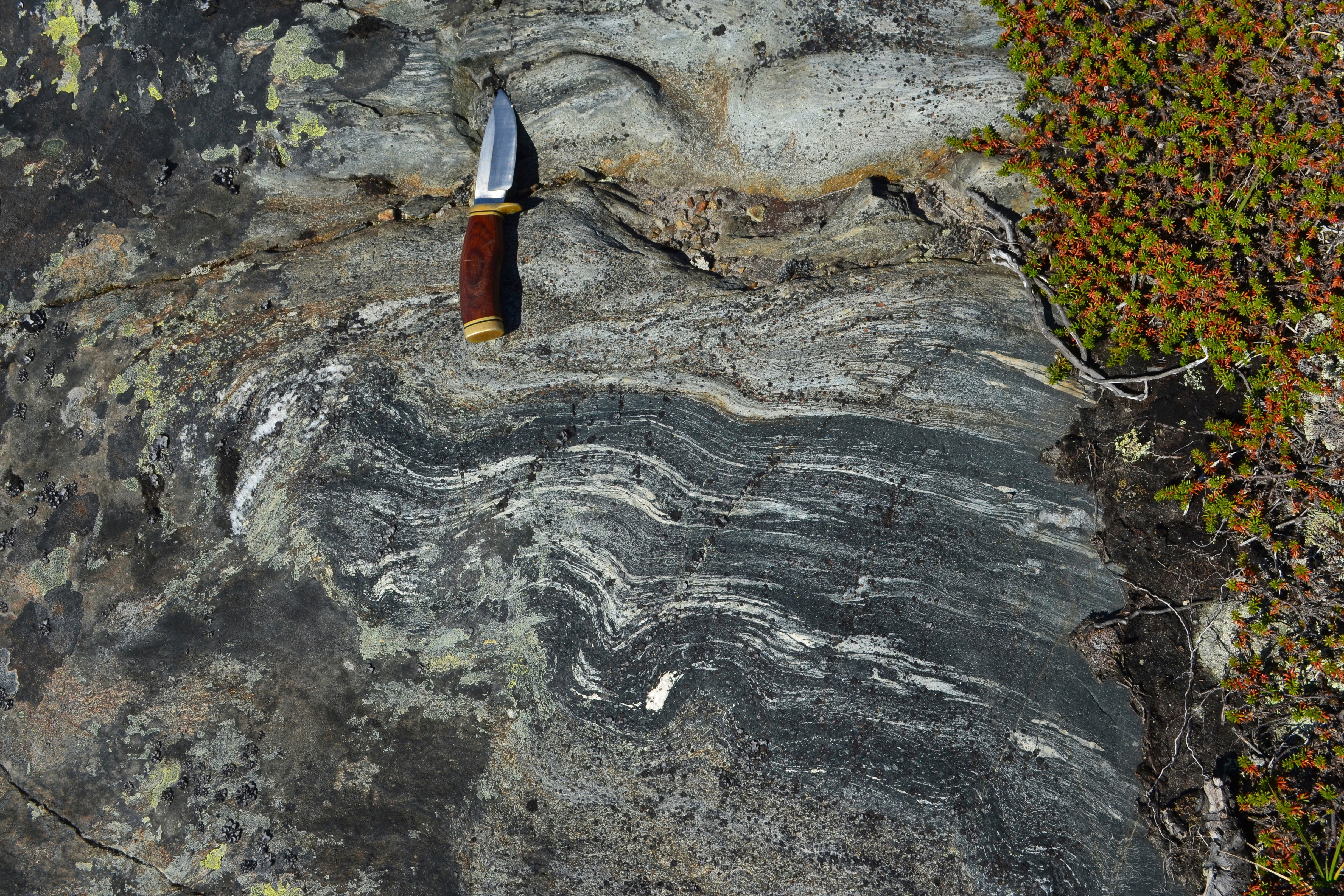 This photo provided by researcher Jonathan O'Neil shows an outcropping of rocks from Canada's Nuvvuagittuq Greenstone Belt dated to about 4.16 billion years old, with a knife to indicate scale. (Jonathan O'Neil via AP)