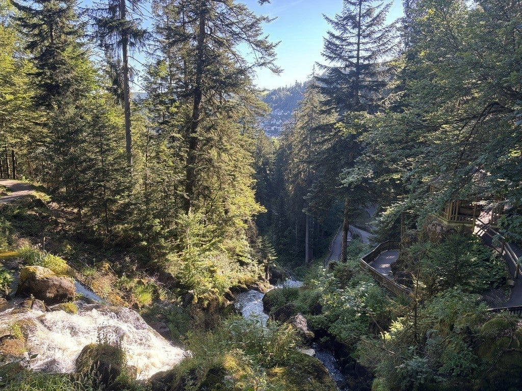 Titisee is a good base in the heart of the southern Black Forest