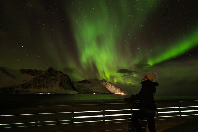 <p>A cruise offers a great view of the northern lights</p>