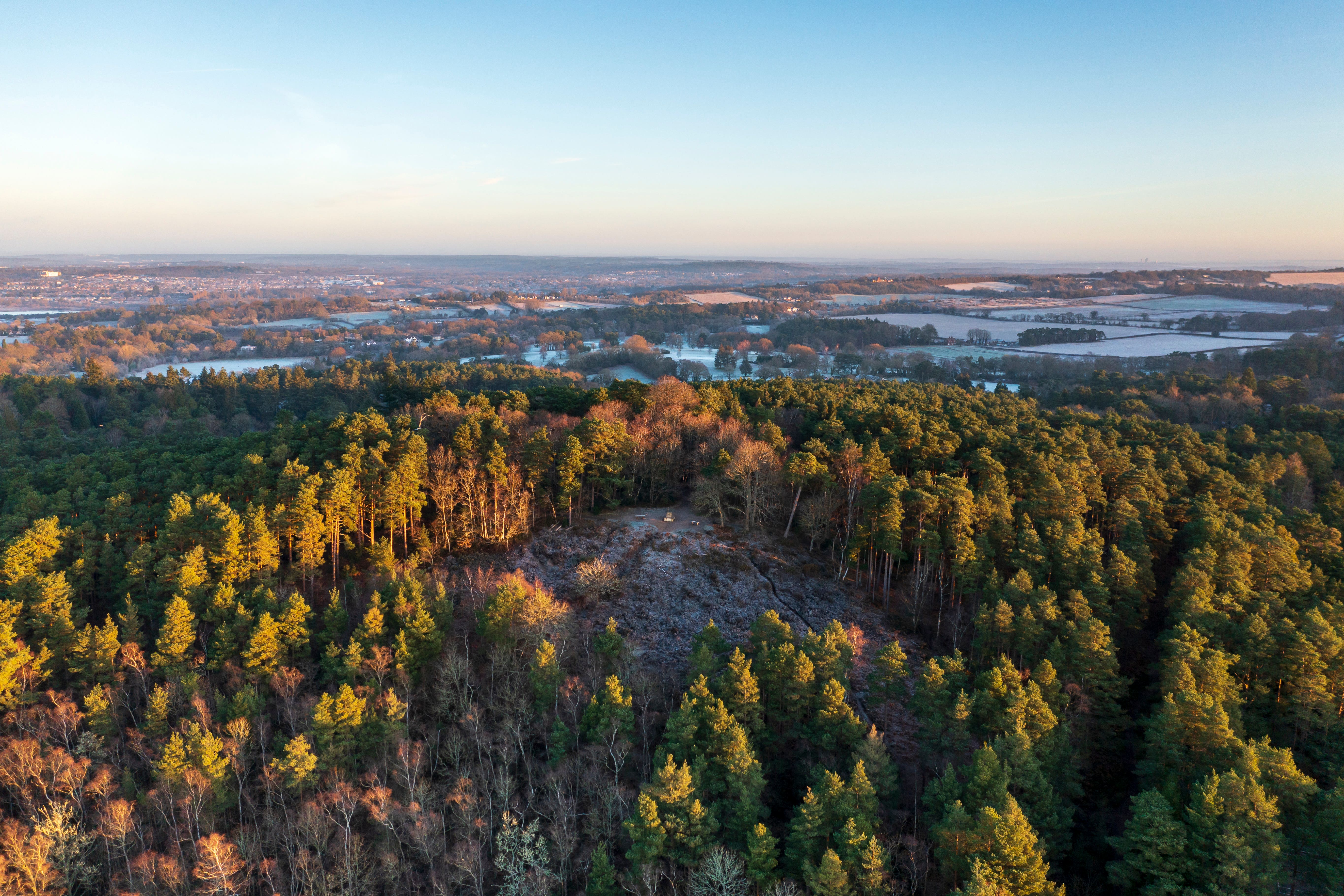 A view of Crooksbury Hill on the new nature reserve in Surrey (Surrey County Council/PA)