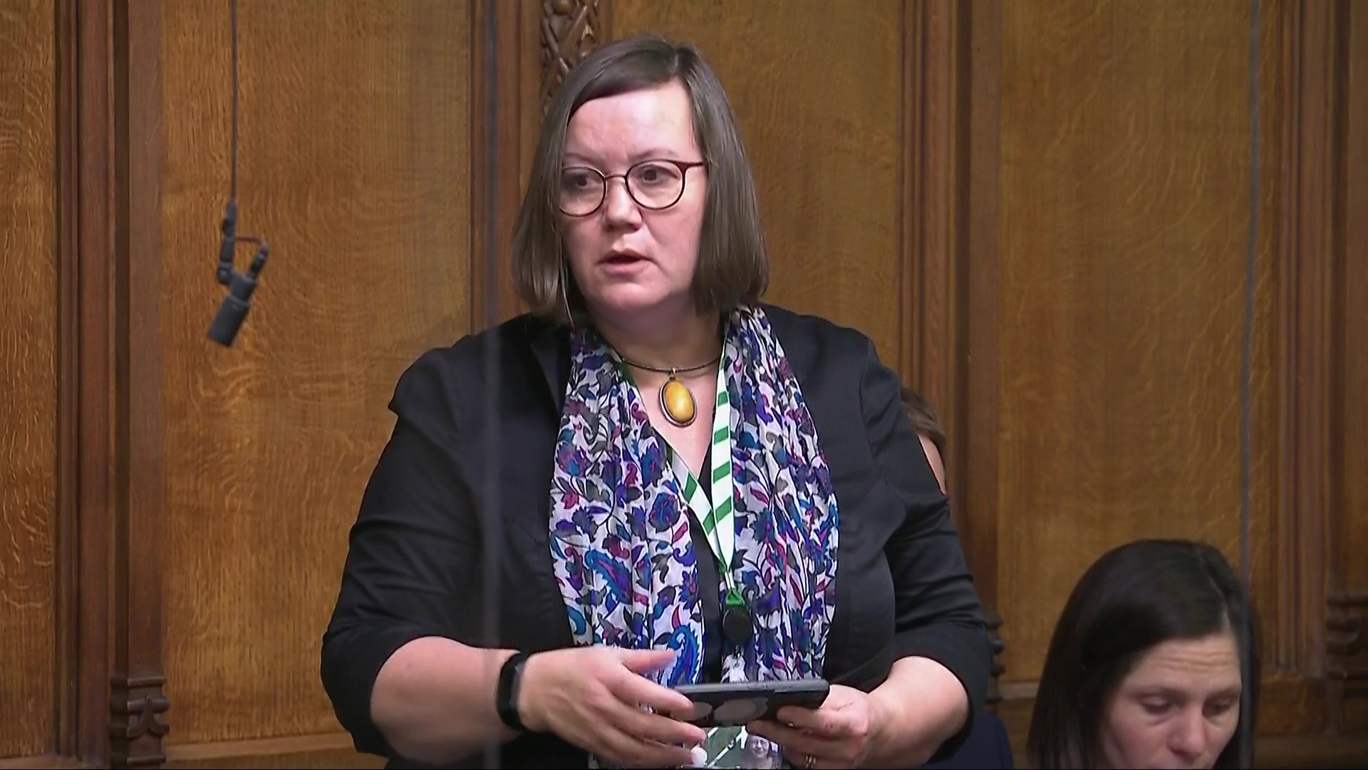 Dame Meg Hillier was one of the leading voices of opposition to the cuts (House of Commons/UK Parliament/PA)