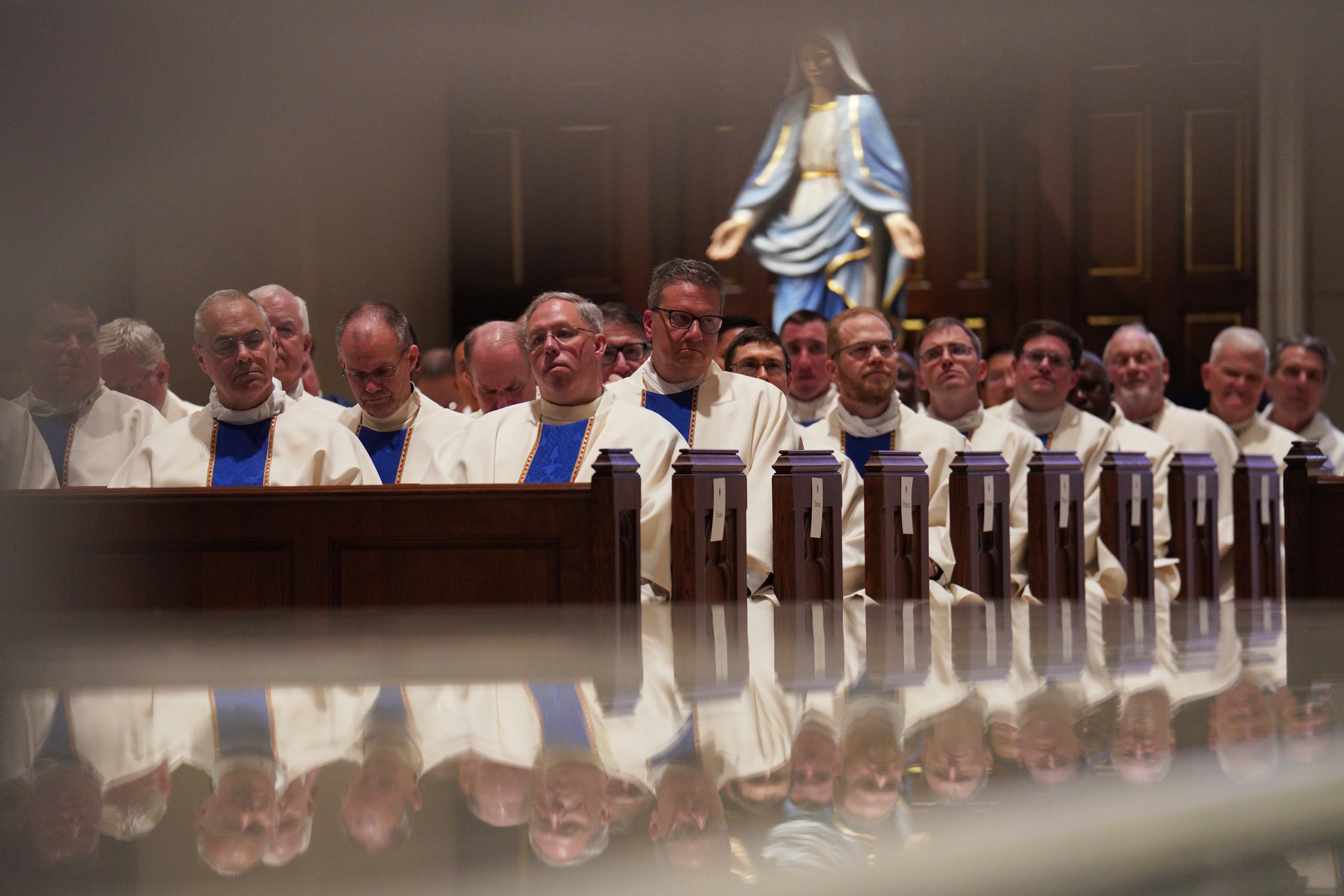 Priests attend the ordination of 12 priests at the Cathedral of Saint Thomas More in Arlington