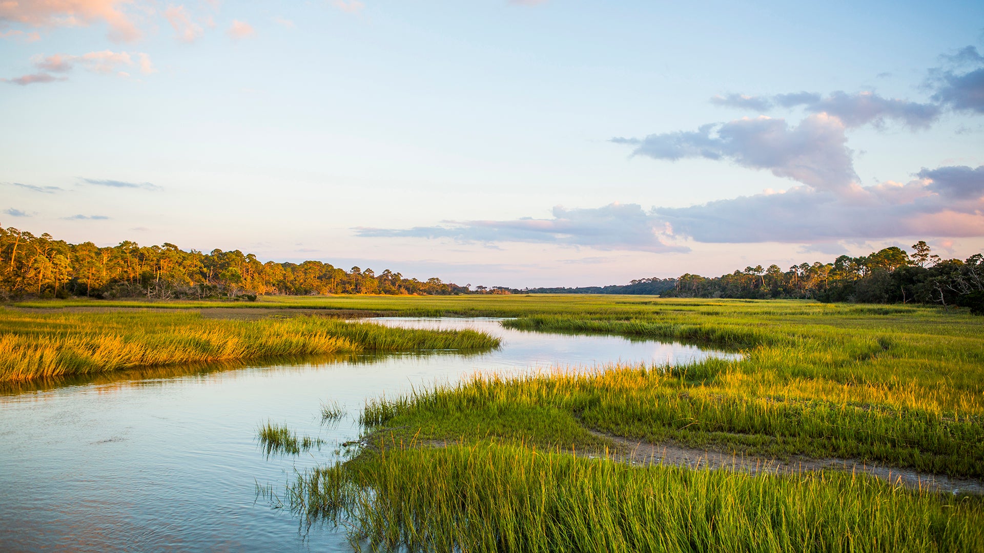 Visitors will discover beautiful landscapes on Jekyll Island