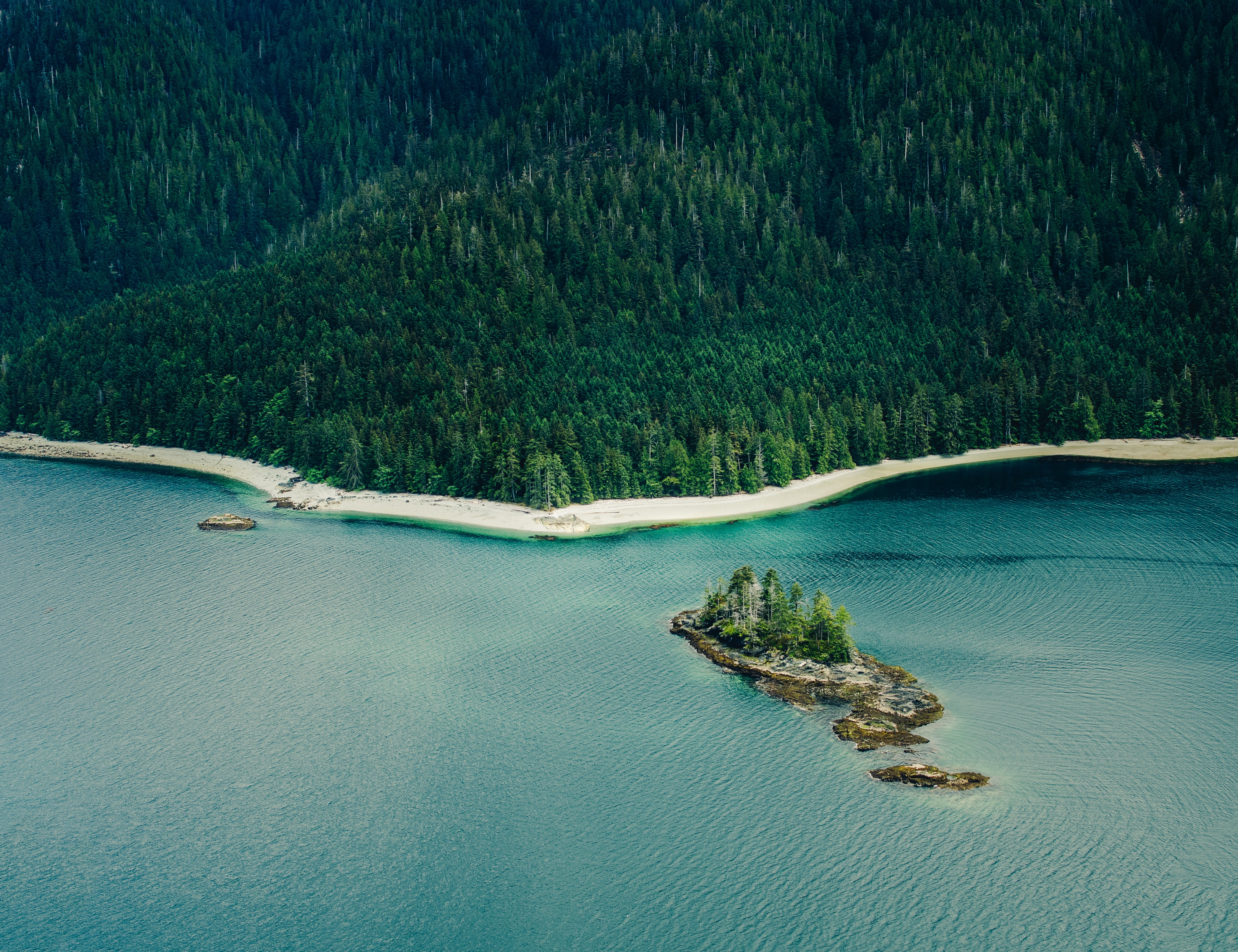 The Haida Gwaii archipelago is an oasis for wildlife