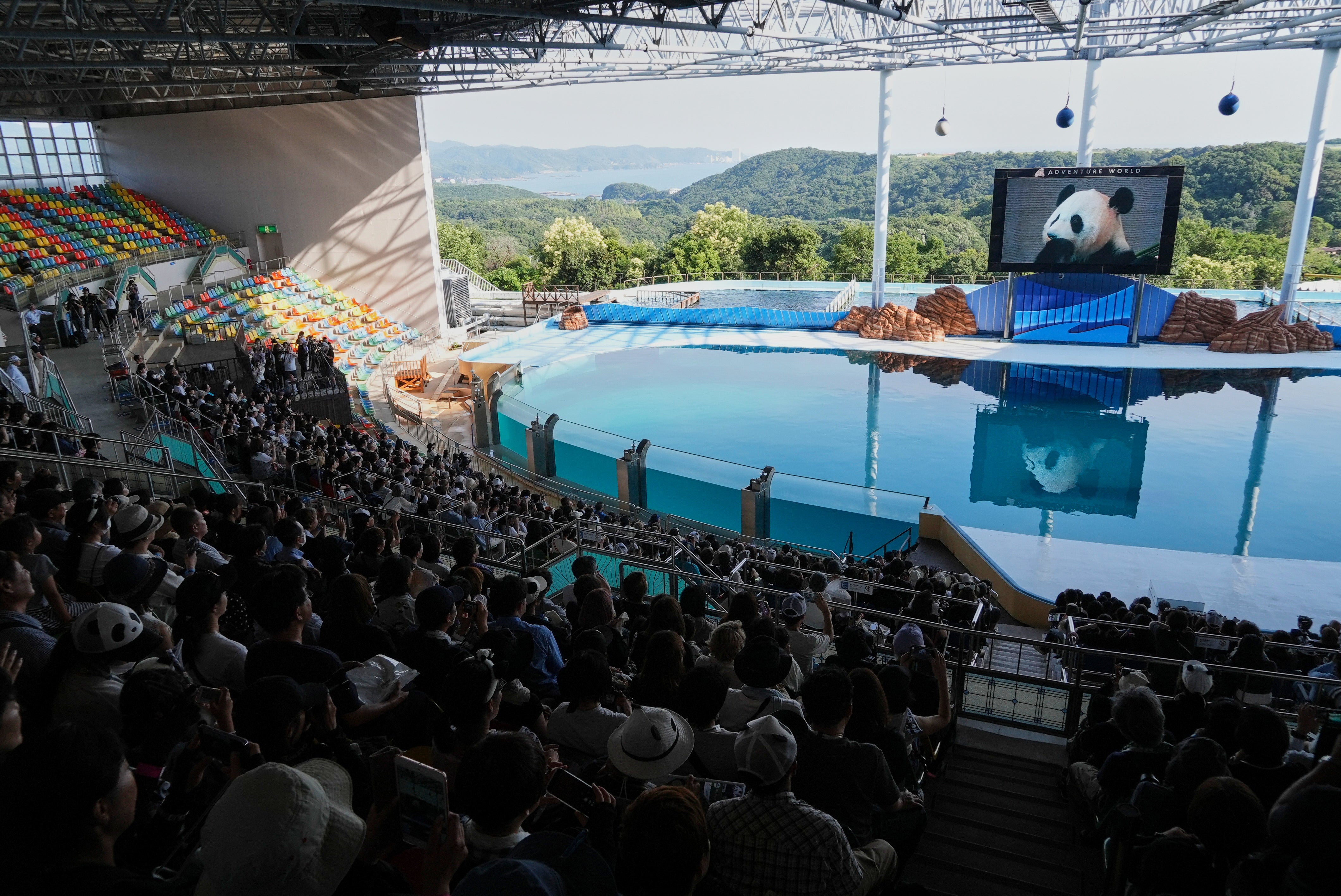 Japan Panda Farewell