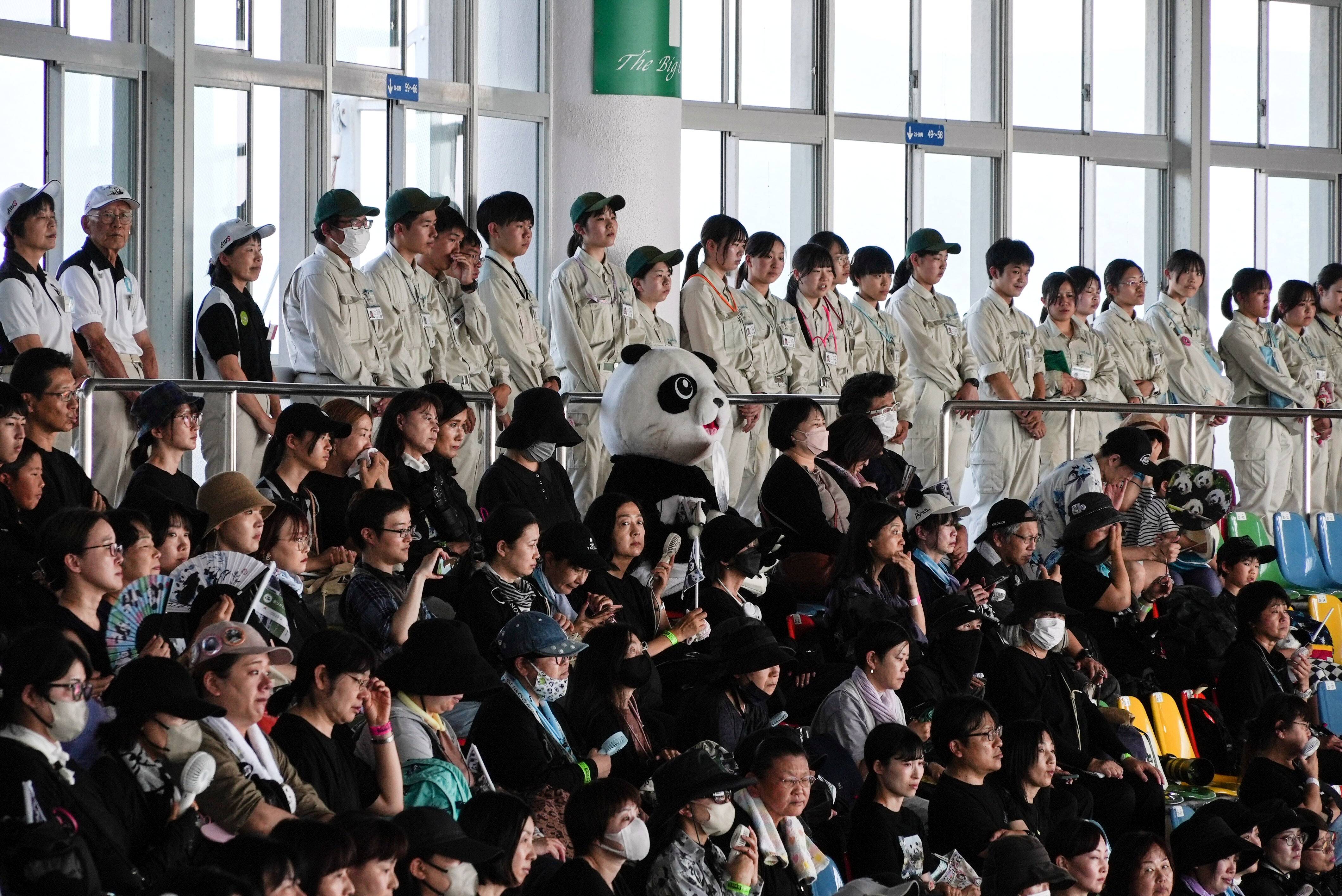 Japan Panda Farewell