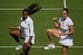 Coco Gauff and Aryna Sabalenka bury the hatchet with TikTok dance at Wimbledon