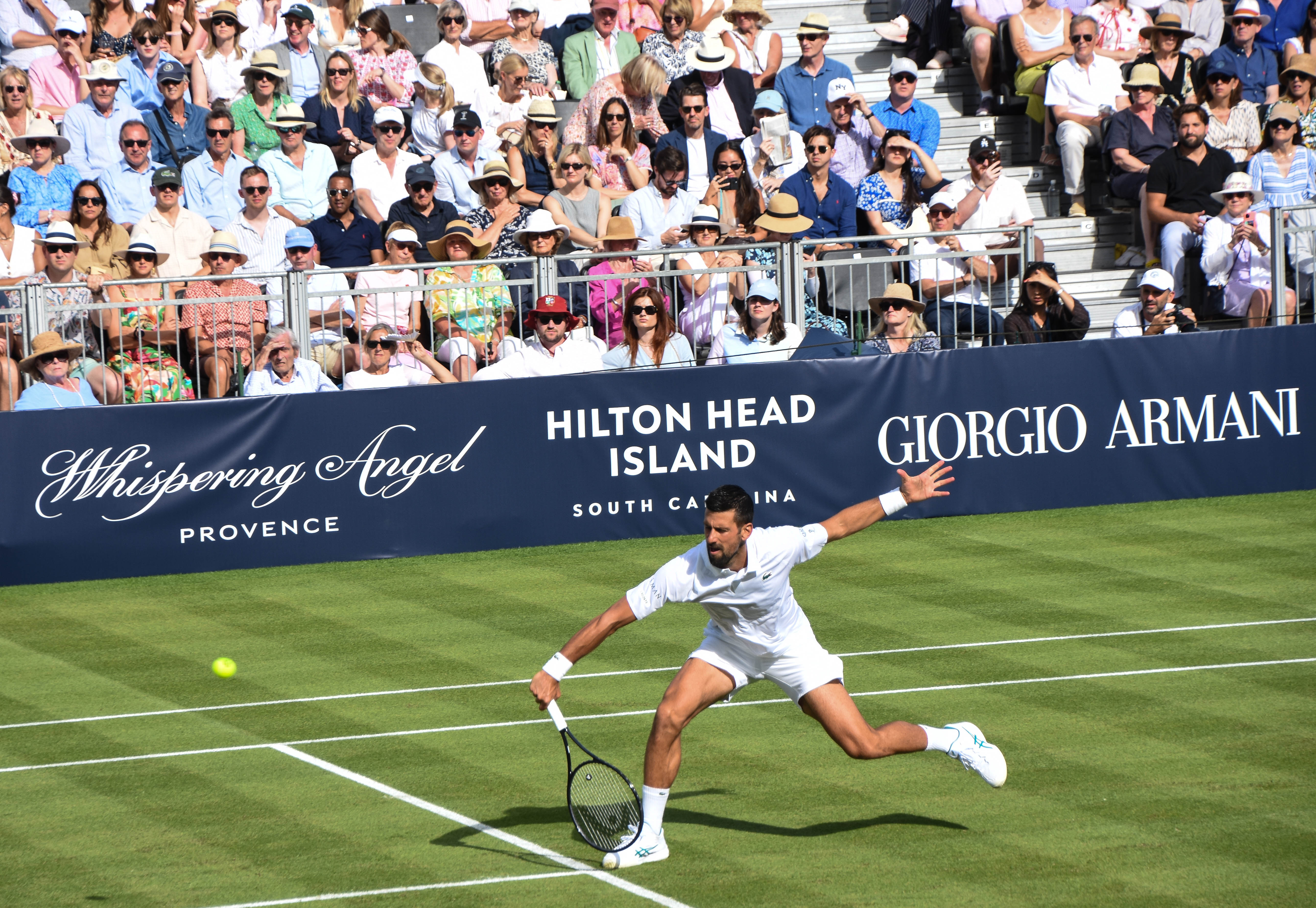 Djokovic’s serve and volleying thrilled the crowd