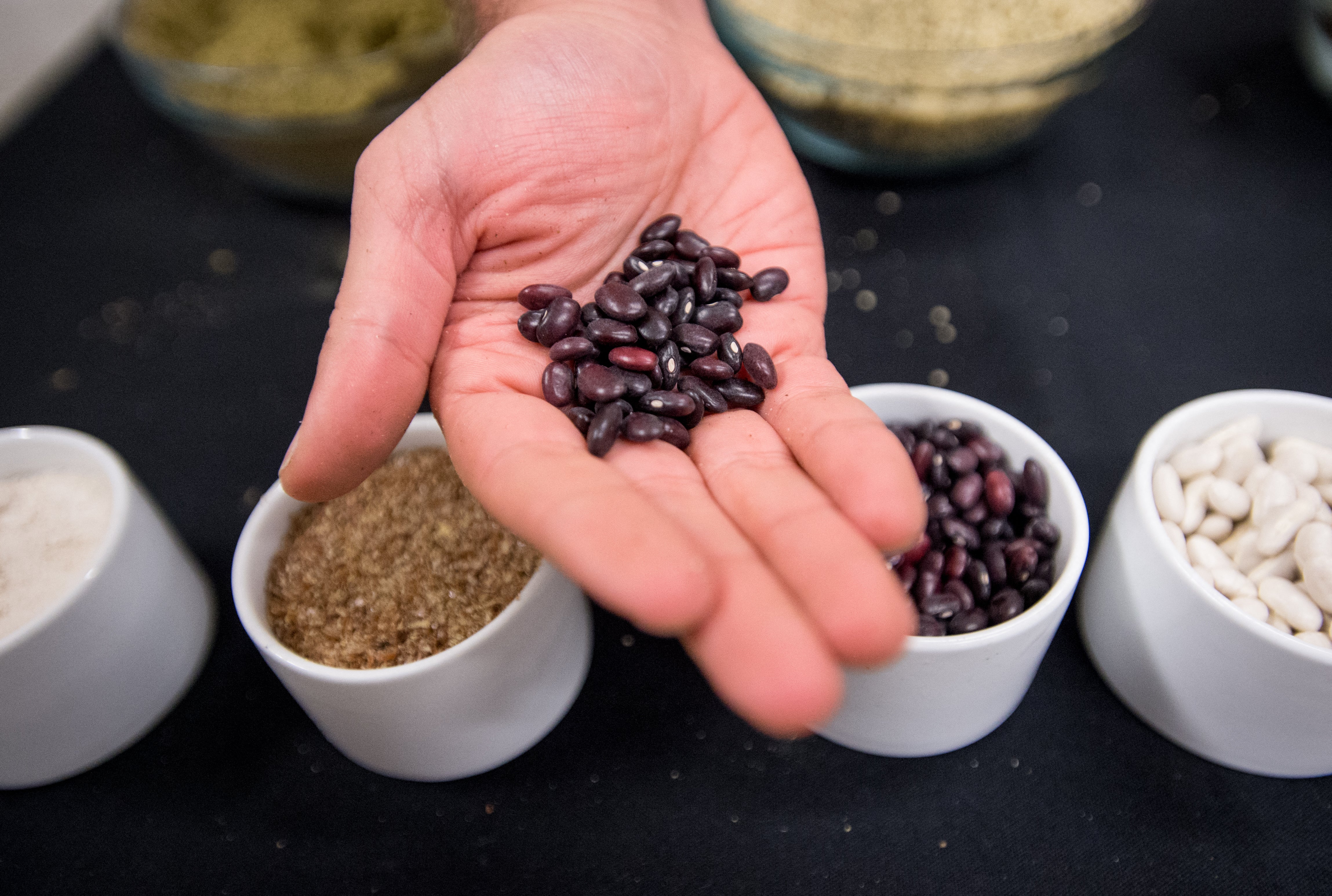 Os feijões são exibidos do norte da Tailândia com outros ingredientes usados para fazer alimentos vegetais