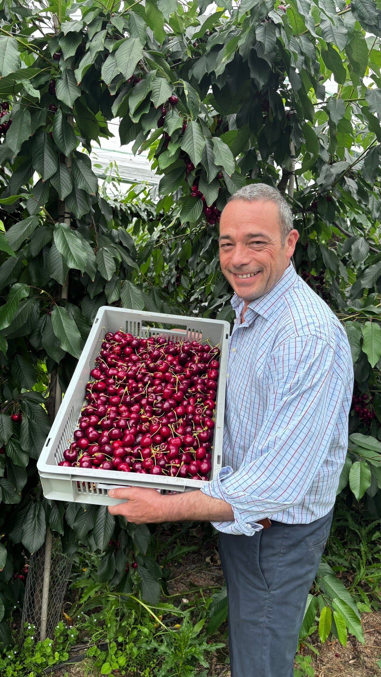 Tom Hulme, managing director of growers at AC Hulme and Sons Farm