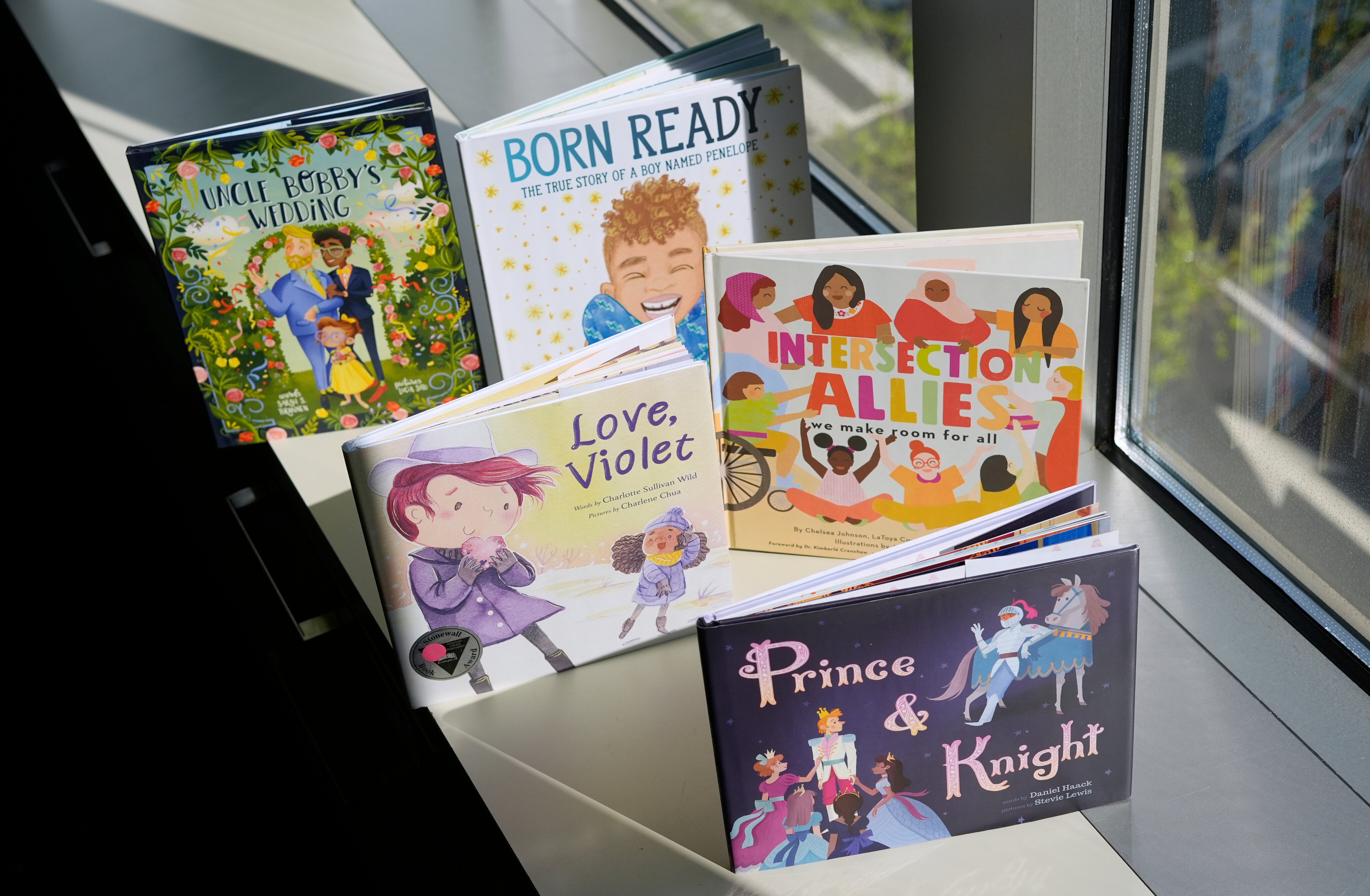 Supreme Court LGBTQ Books