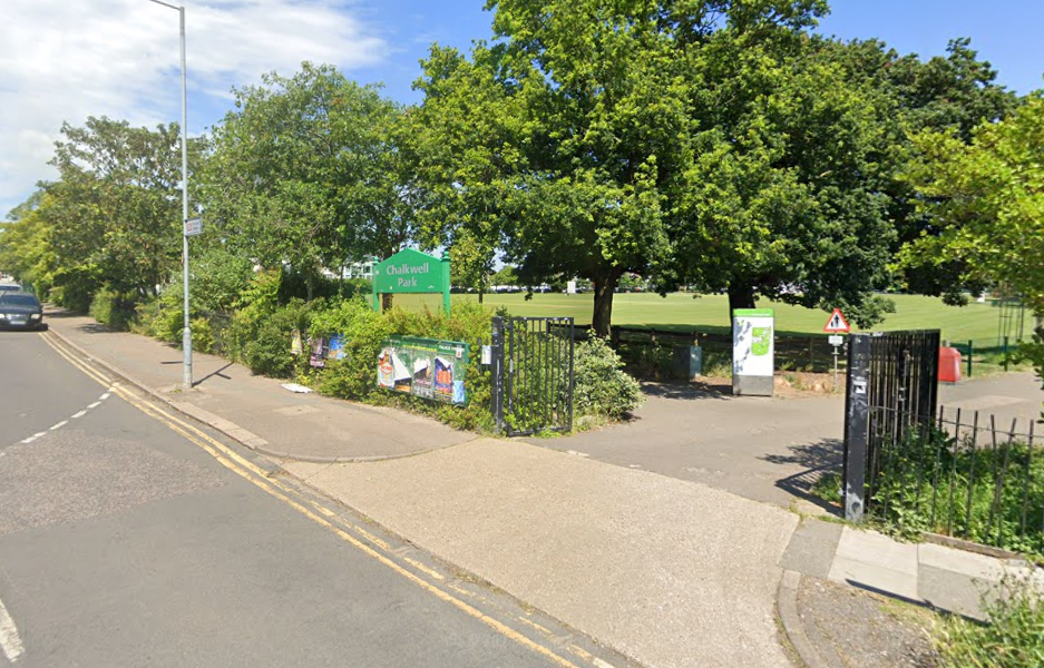 A girl died and several children were taken to hospital after a tree fell in the park