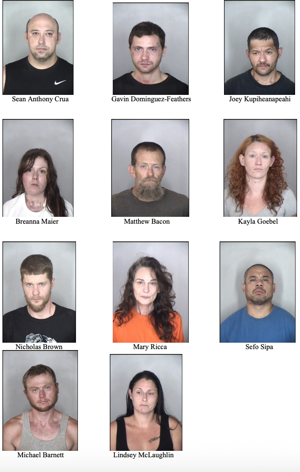 Eleven people have been arrested in connection with the burglaries, while six other suspects have charges pending against them.
