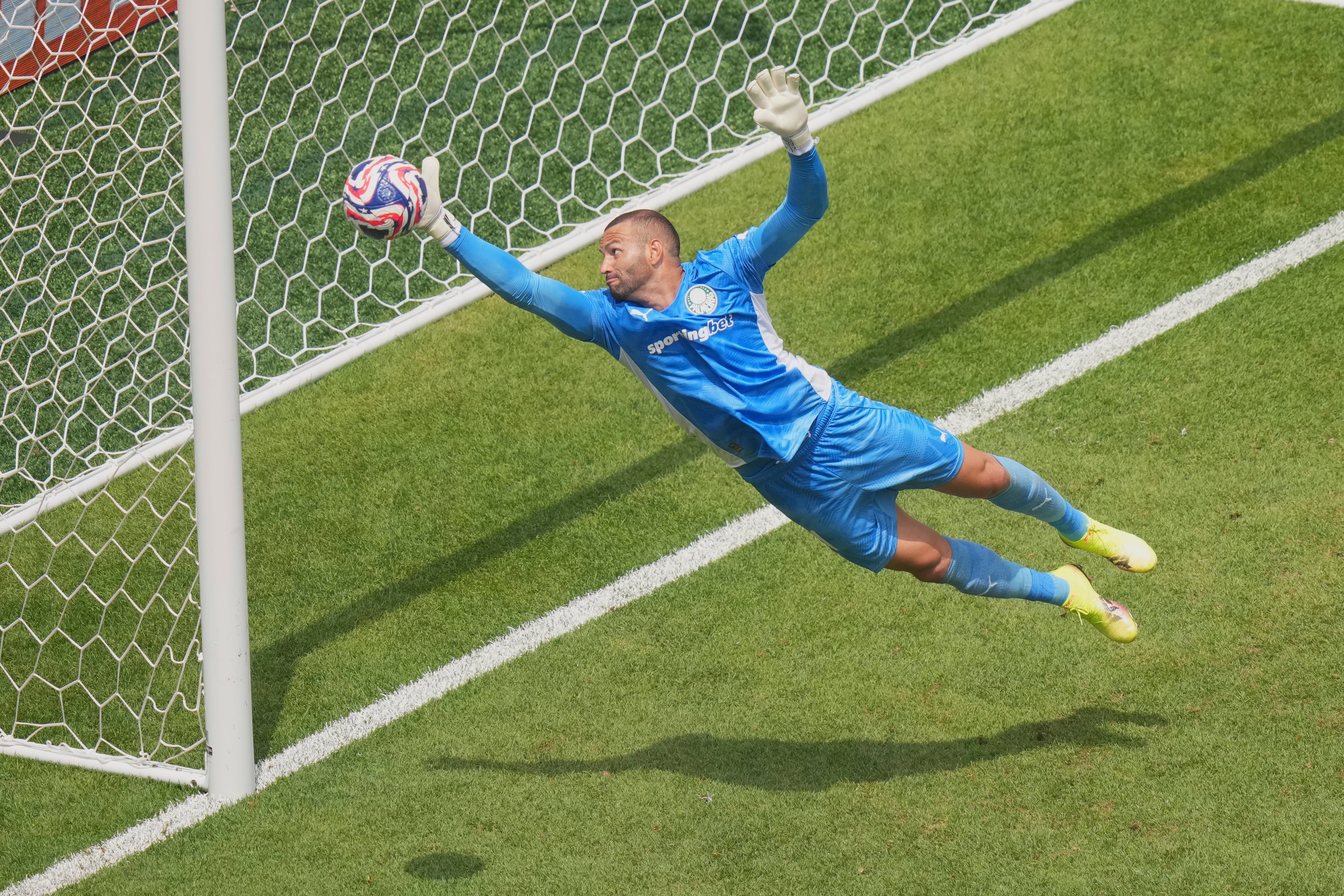 APTOPIX CWC Palmeiras Botafogo Soccer