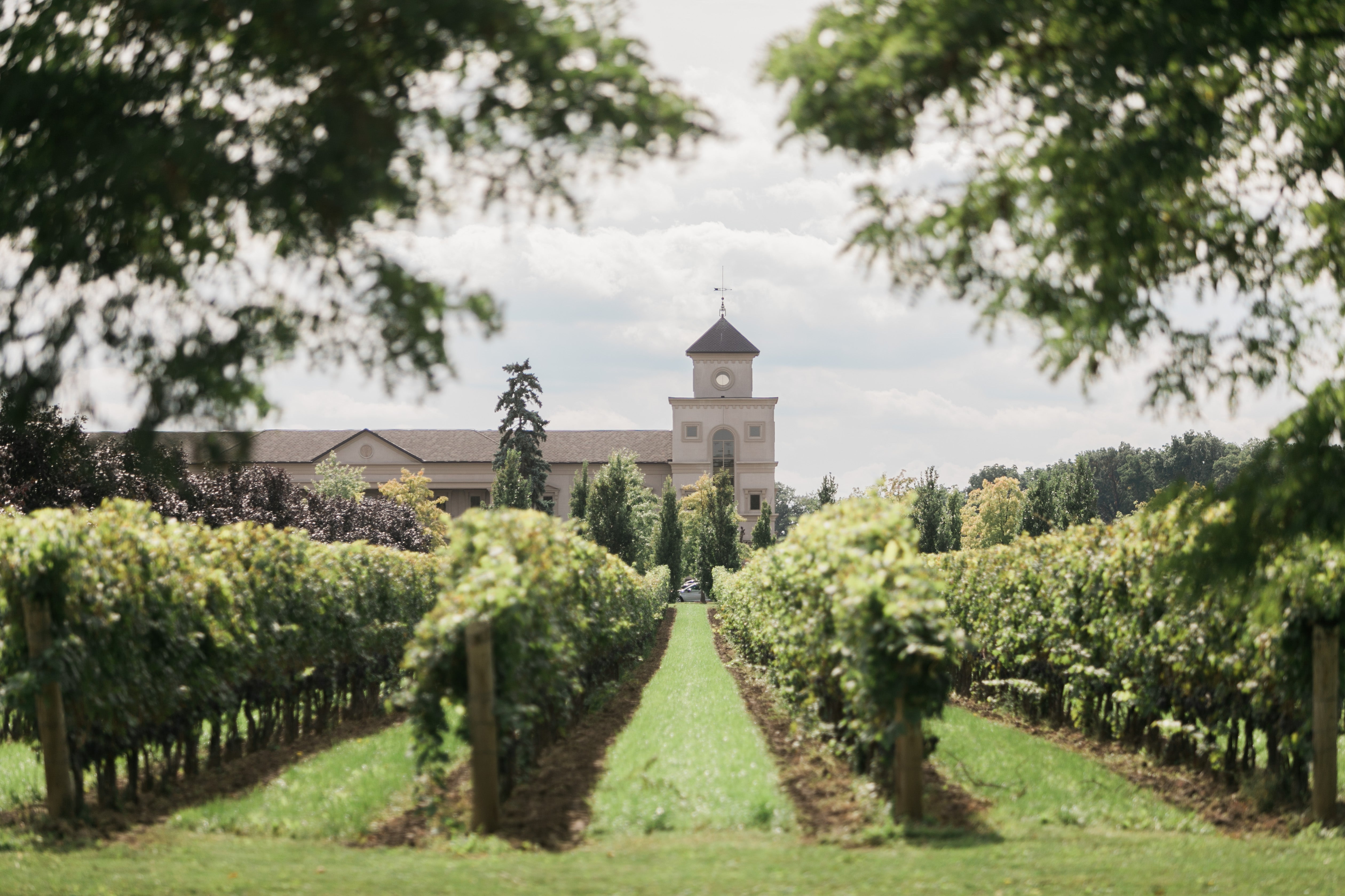 Why not plan a trip to the Two Sisters Vineyard near Niagara Falls?