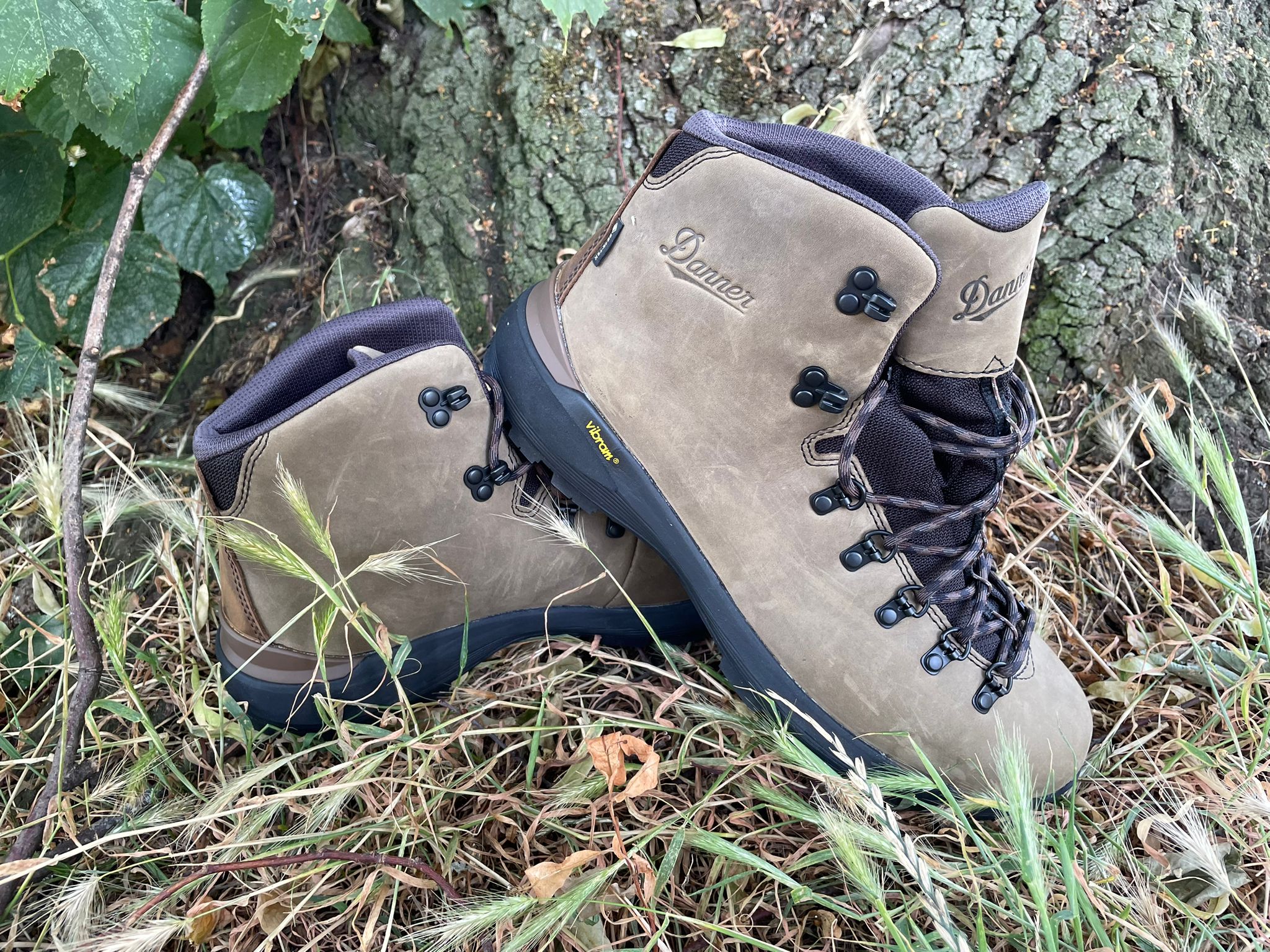 Danner mountain 600 evo