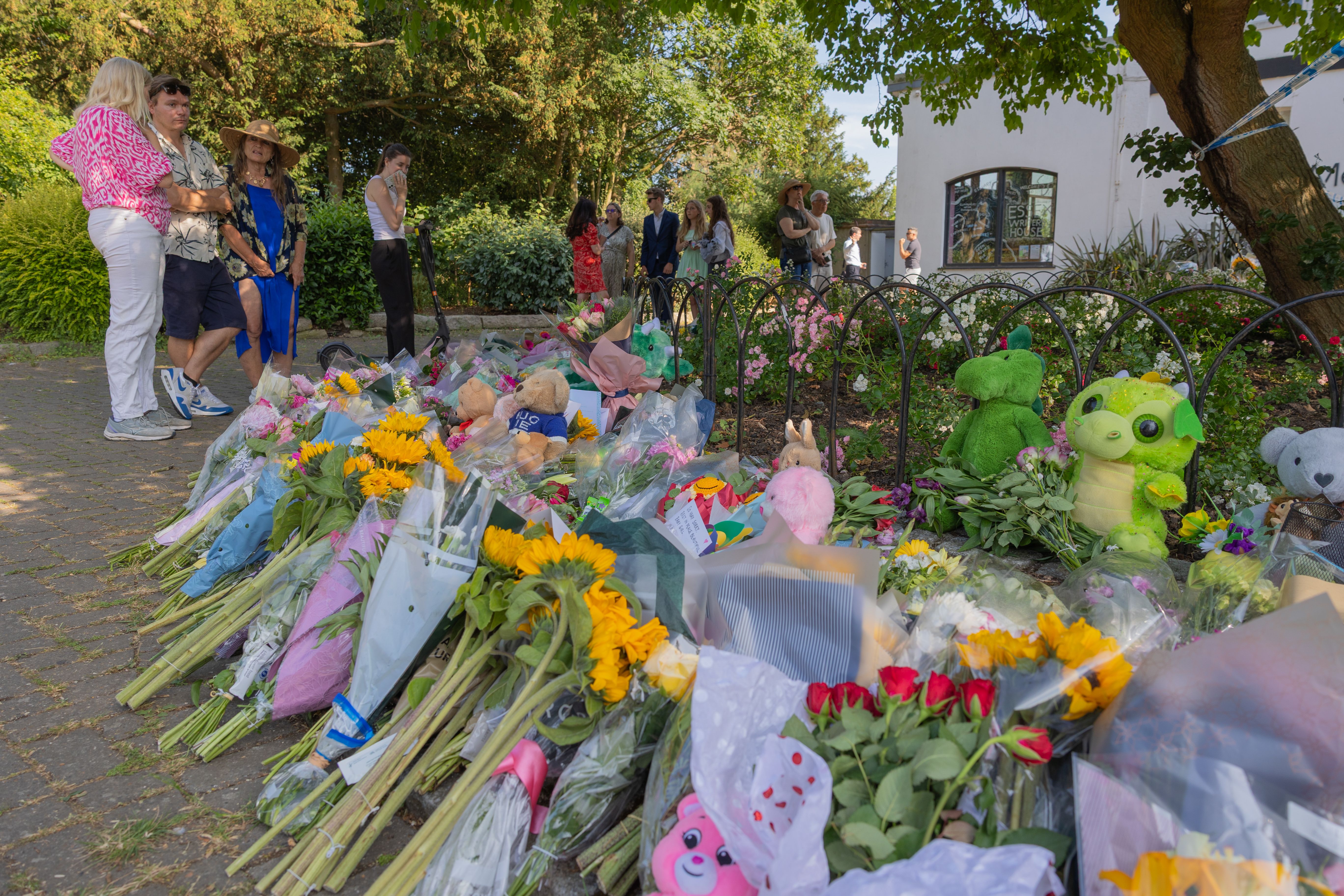 Police are investigating the collapse of a tree in an Essex park