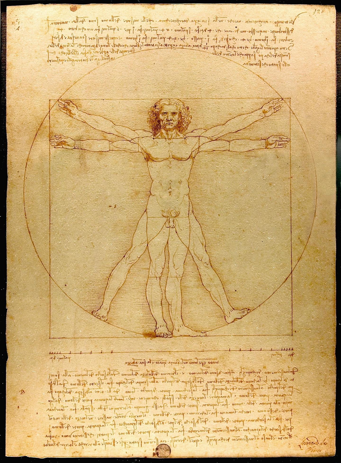 Leonardo da Vinci's The Vitruvian Man, 1490