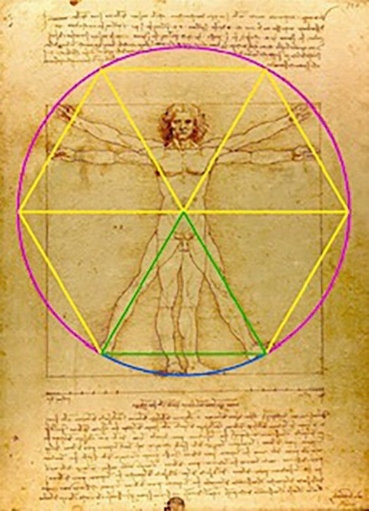 Equilateral triangle in The Vitruvian Man