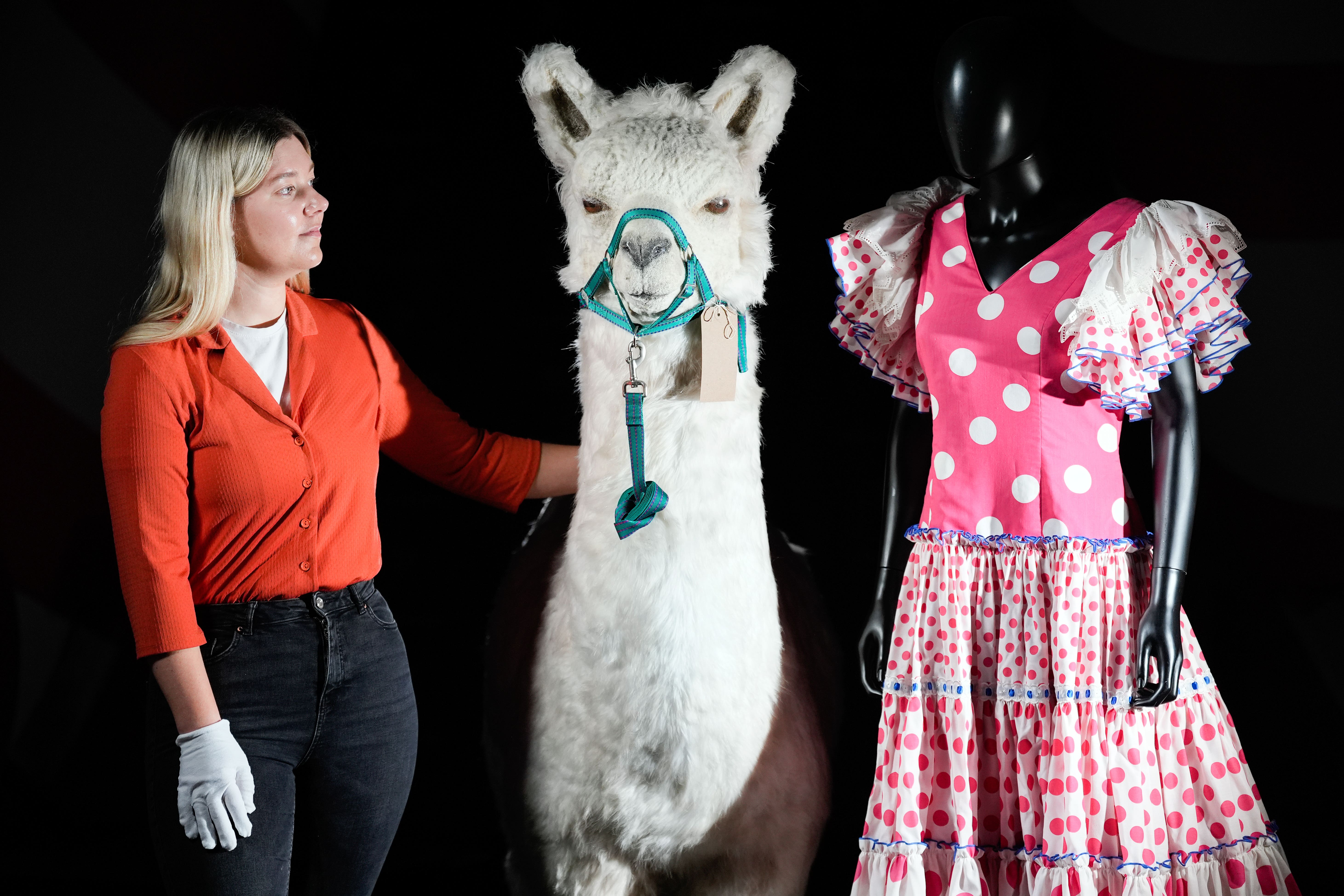 The lifelike llama and Carol Cleveland’s dress from the Llamas sketch from the Monty Python Live (Mostly) stage show are to go on auction (Andrew Matthews/PA)