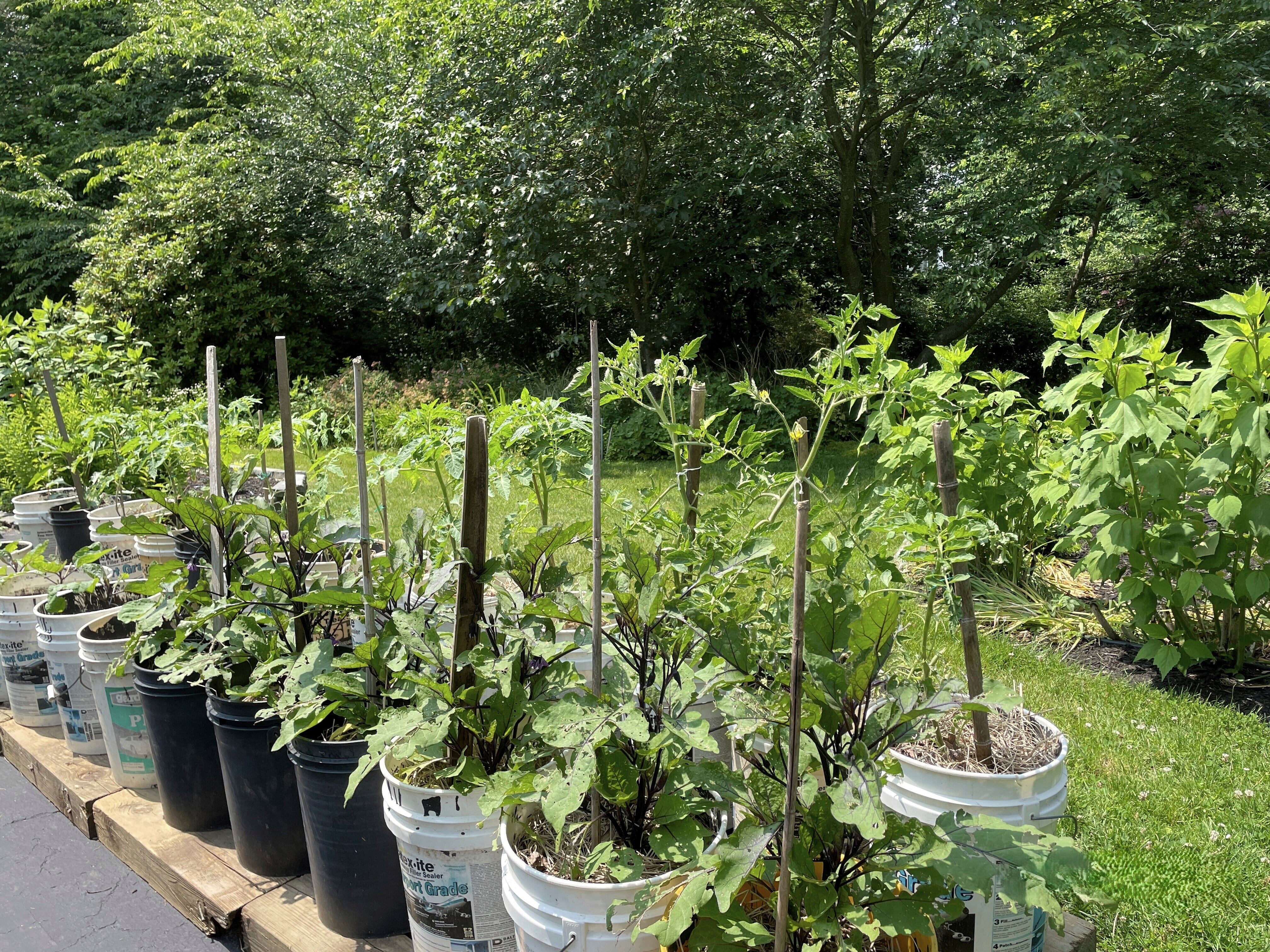 Gardening - Small Spaces