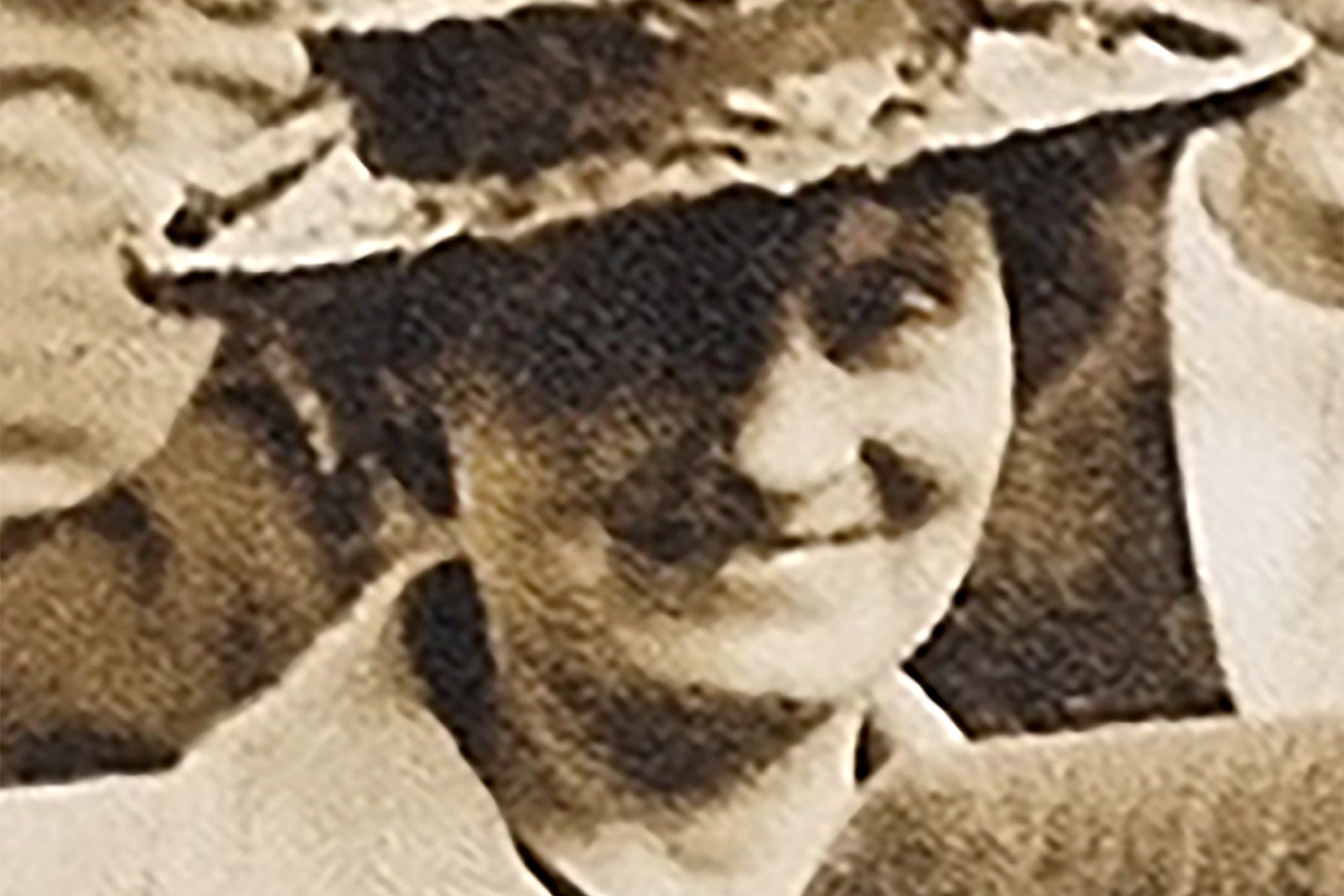 Louisa Dunne, then aged 75, was raped and murdered in 1967 (Avon and Somerset Police/PA)