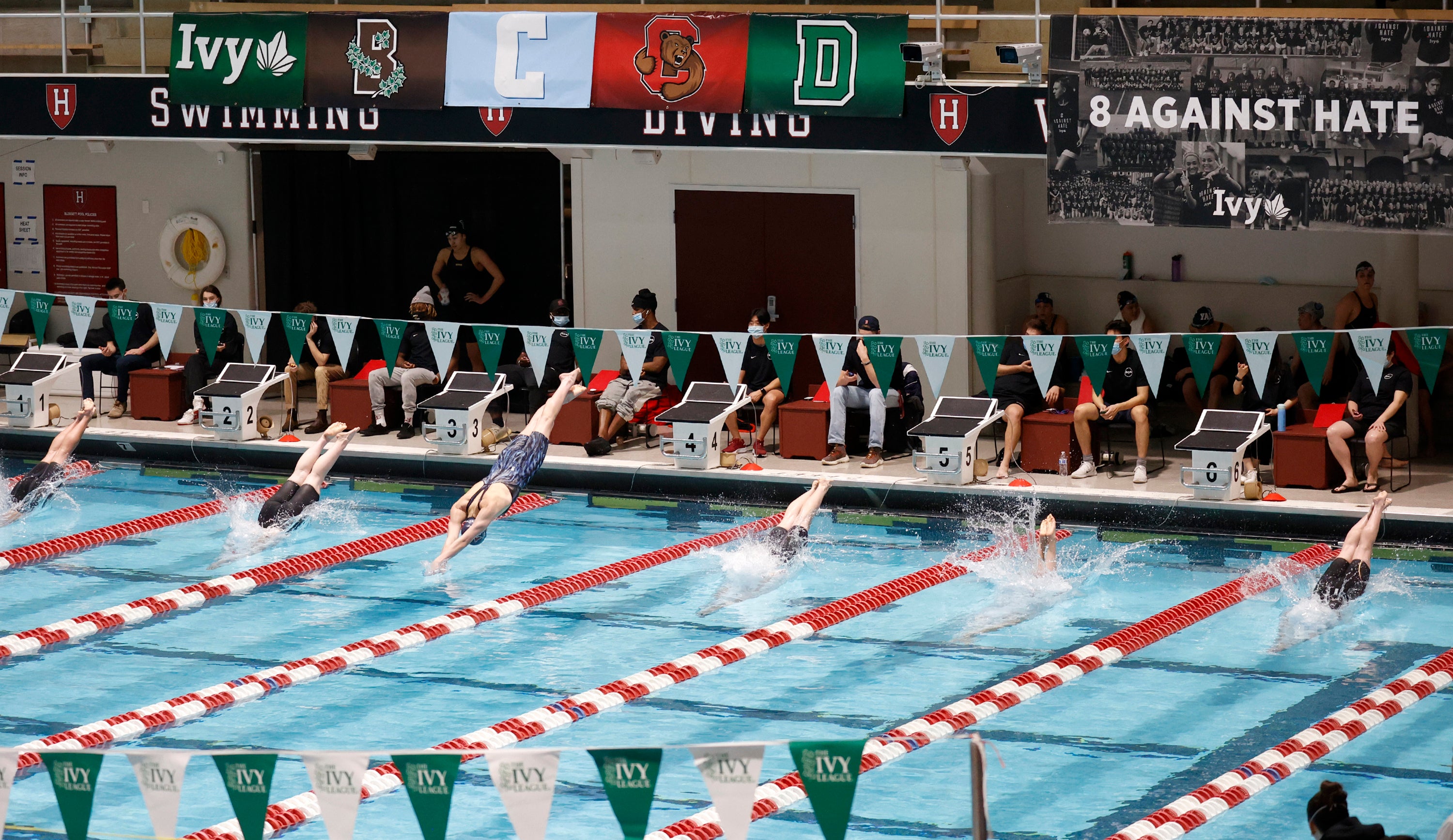 Trump Education Penn