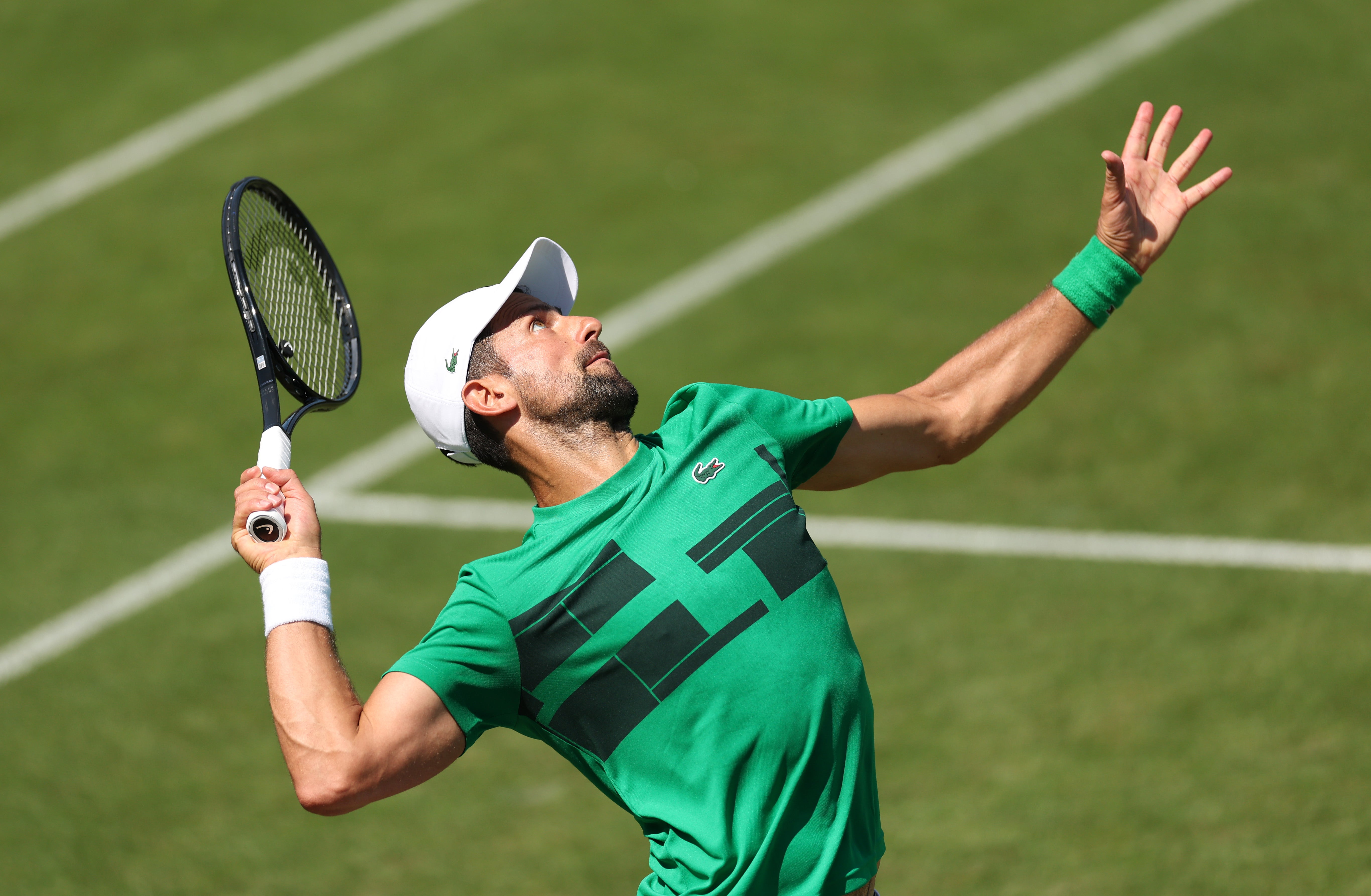 Novak Djokovic is gunning for an eighth Wimbledon title this fortnight