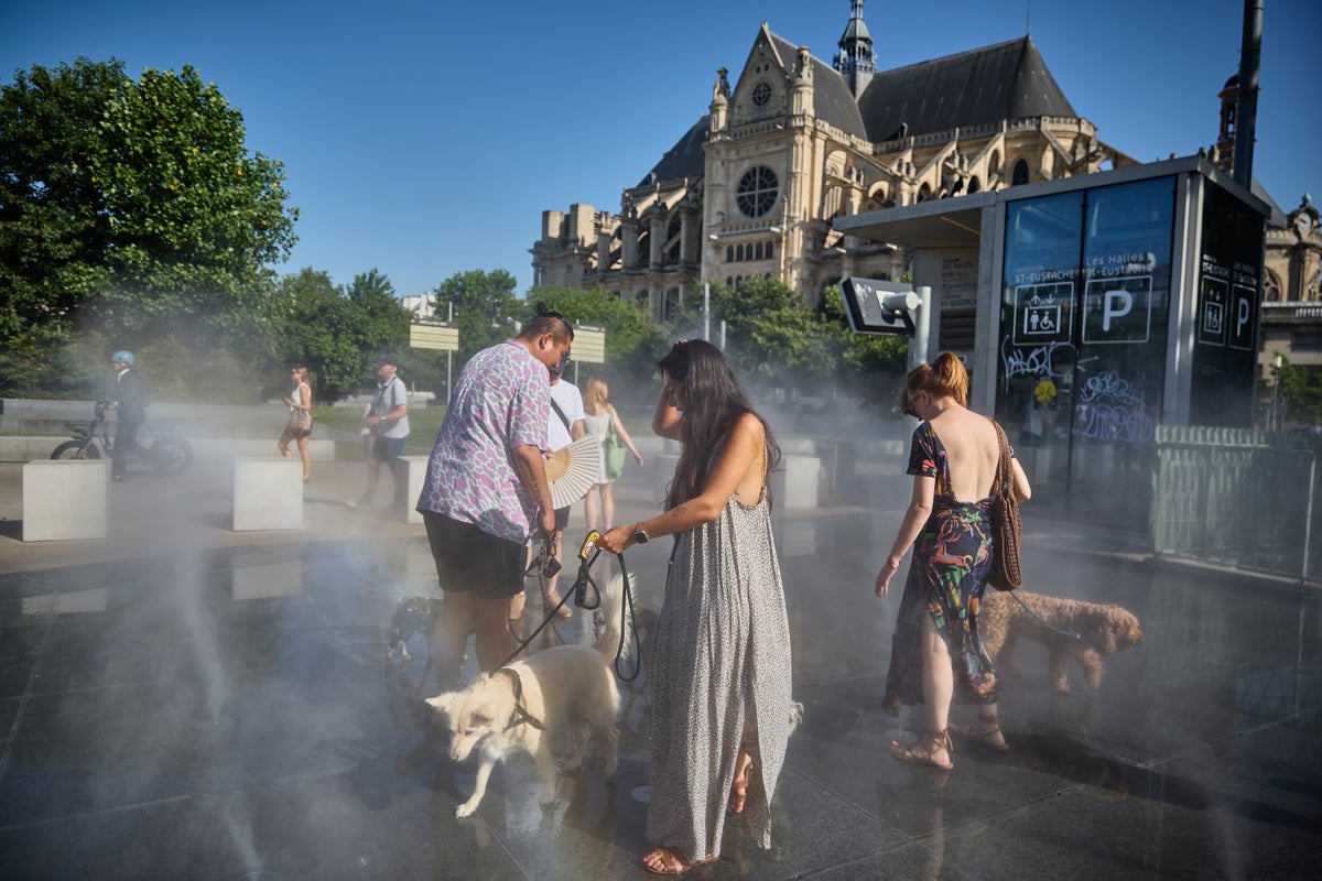 Five things every pet owner should do during a heatwave Five things every pet owner should do during a heatwave