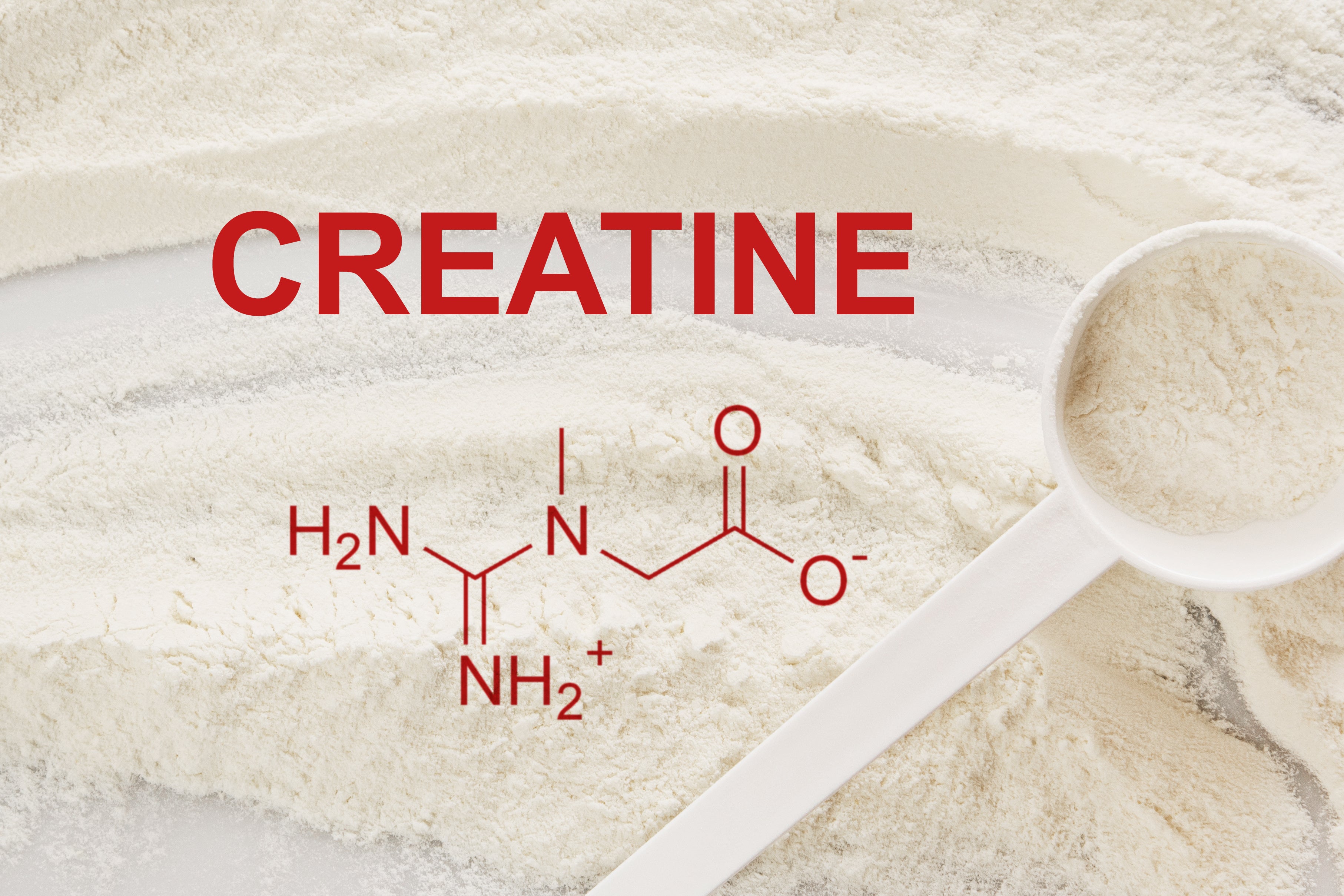 Creatine