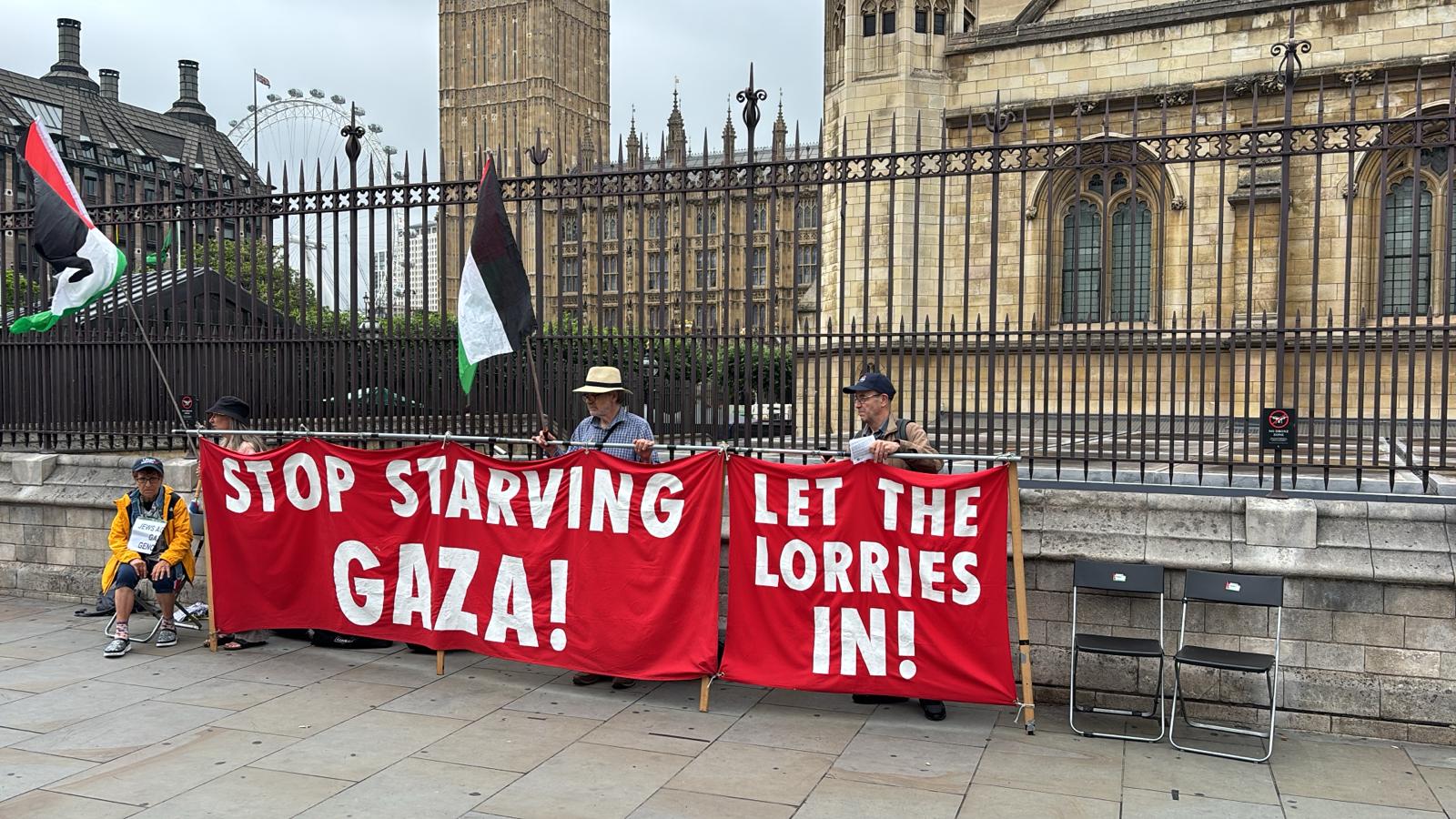Pro-Palestine protesters demonstrating outside parliament
