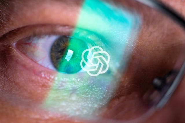 <p>AI chatbots like ChatGPT have been blamed for causing people to spiral into mental health crises</p>