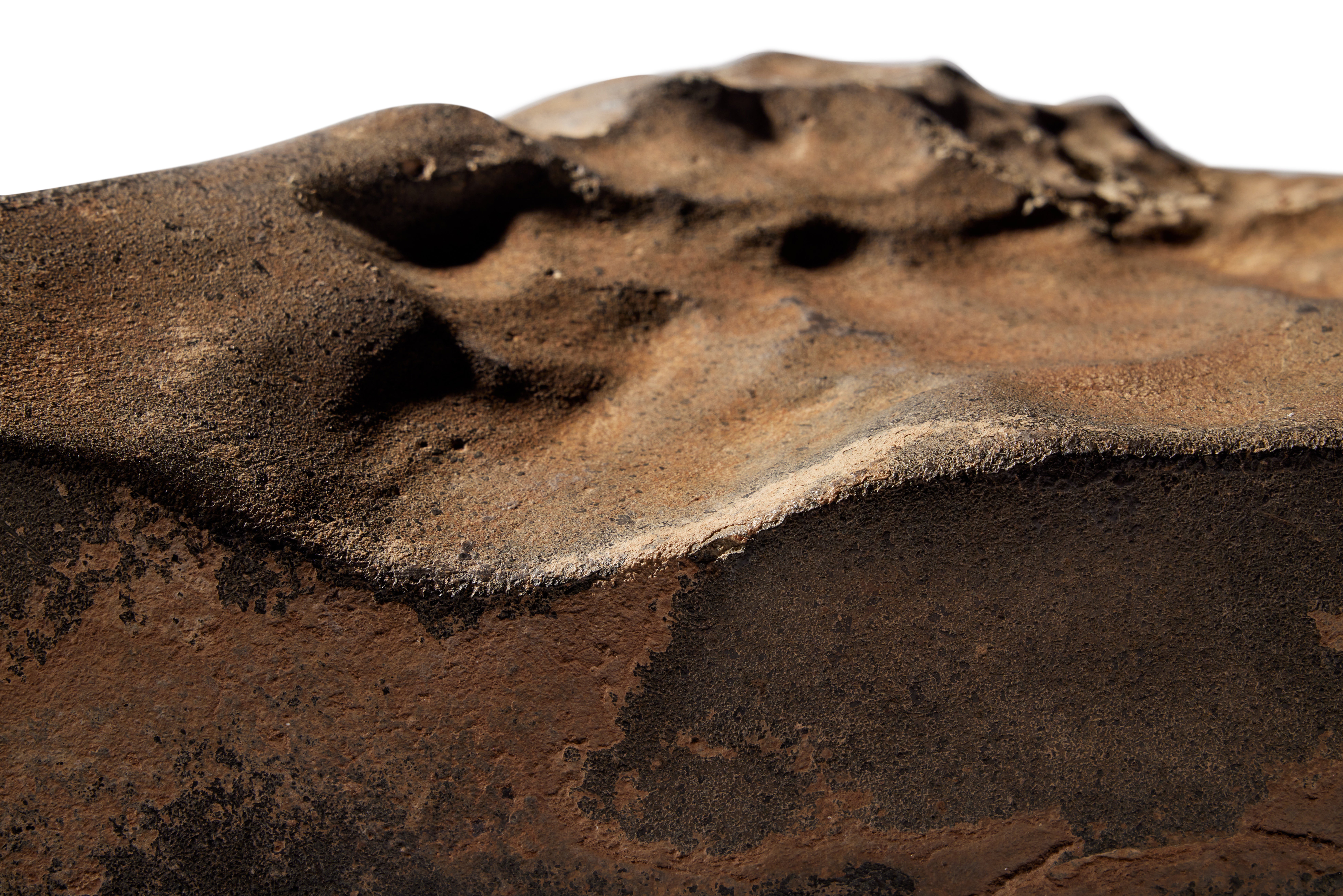 The largest Martian meteorite ever found on Earth is being auctioned off later this month. It could fetch as much as $4 million