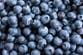 Blueberry recall elevated to highest level due to listeria risk