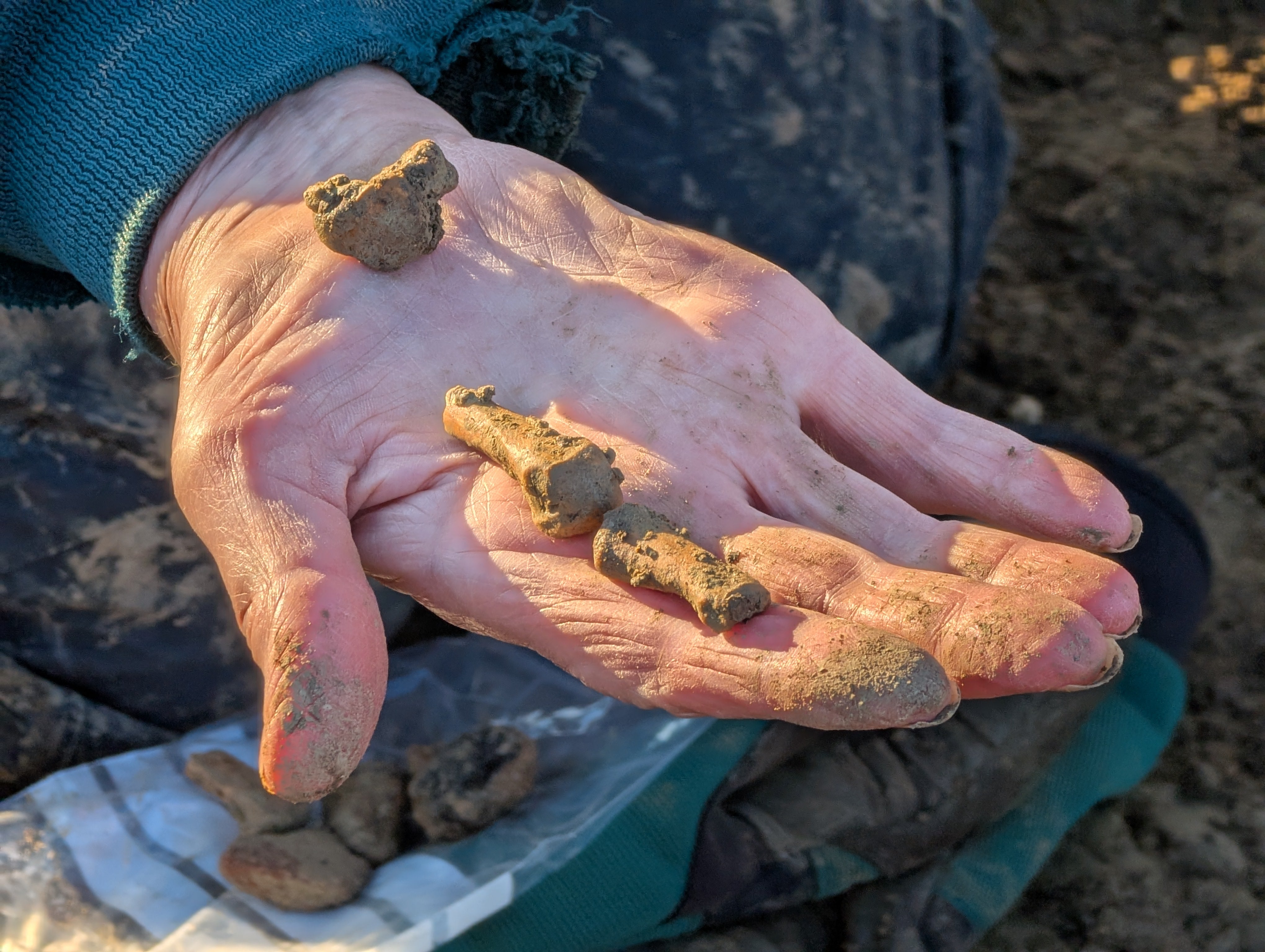 The finger bones from a separated human arm which had been found during an excavation near a Cotswolds village