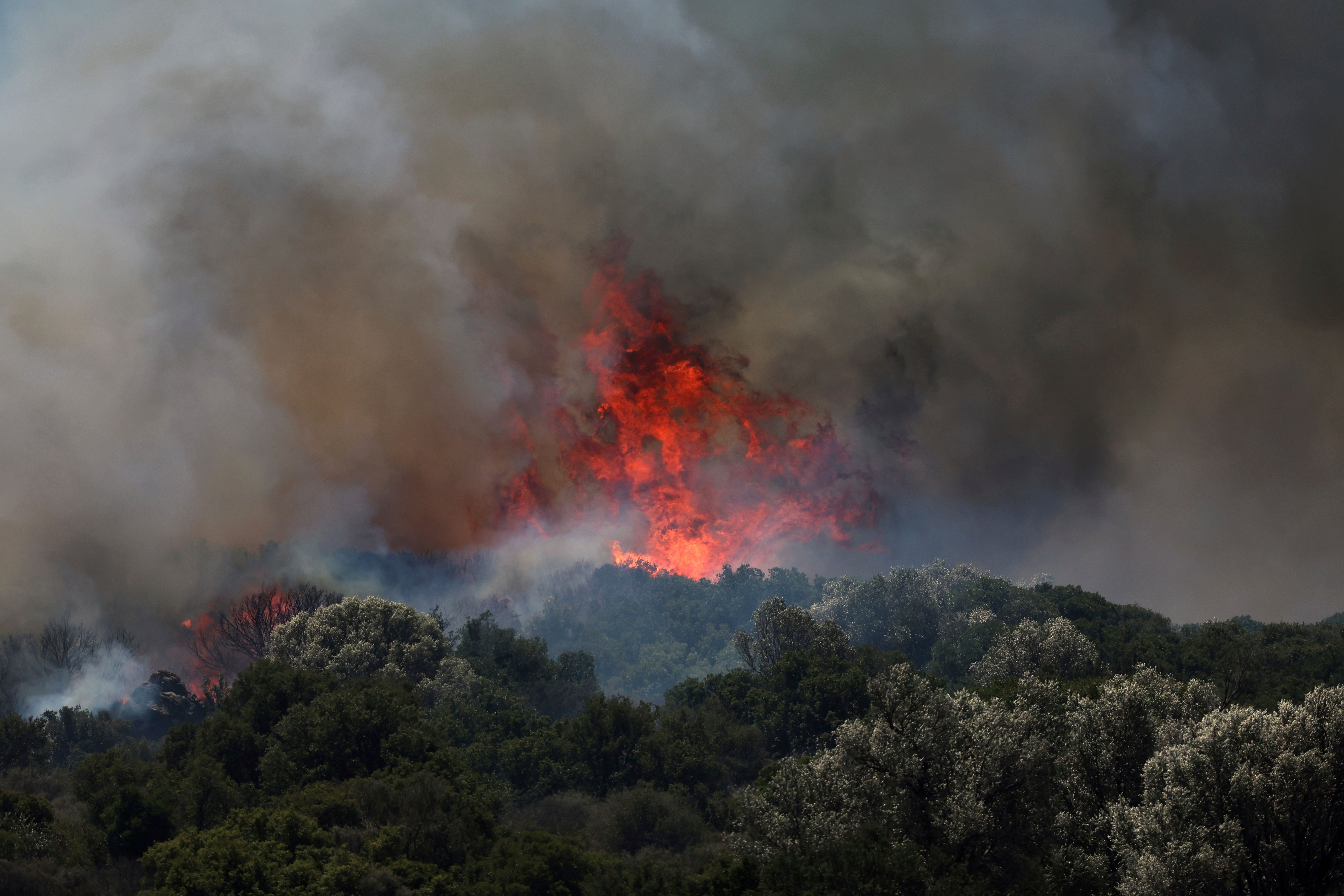 A fire rages across a forest area in Cesme, near Izmir, Turkey, Thursday, July 3, 2025. (Cengiz Malgir/Dia Photo via AP)