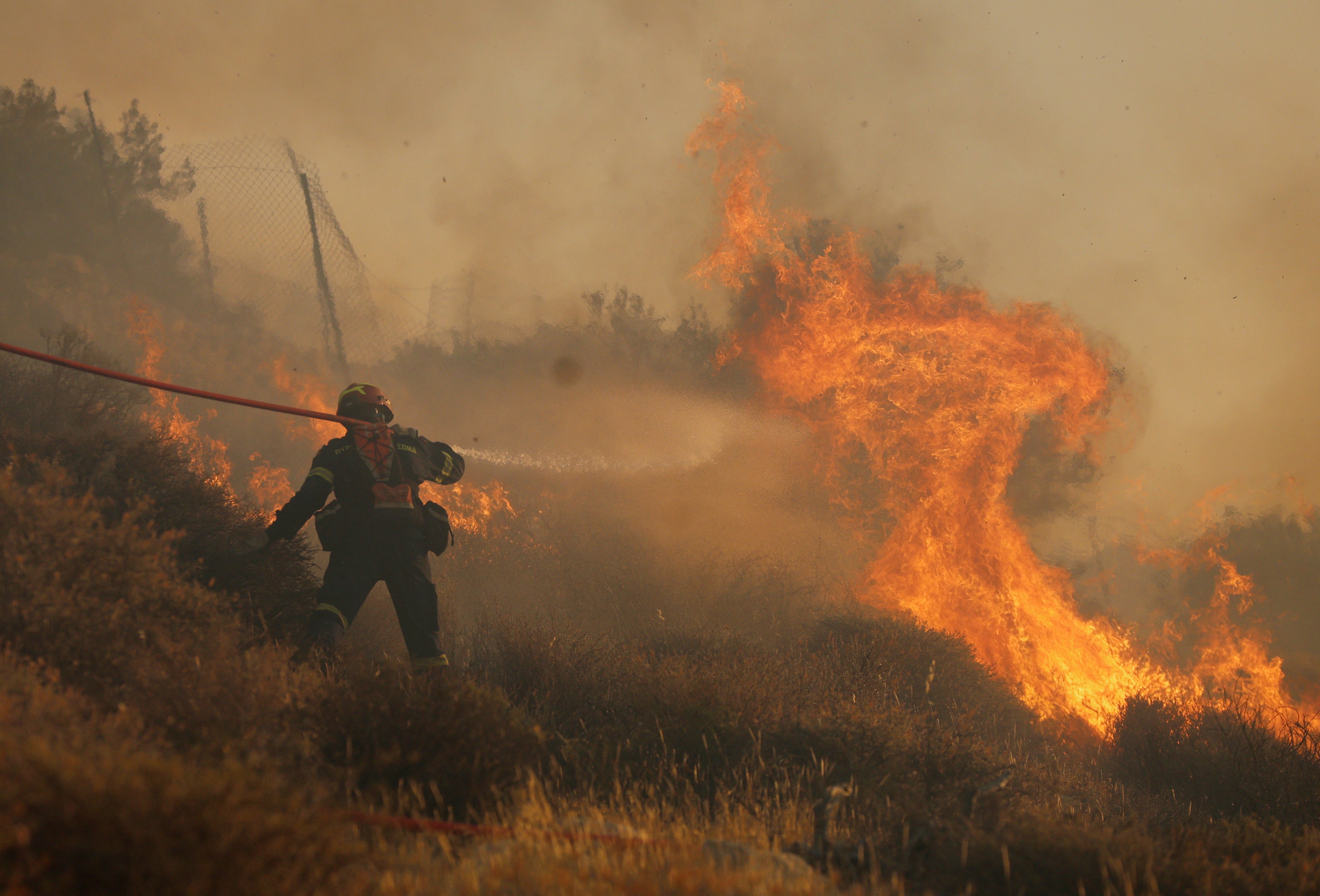In June, a massive wildfire scorched forests and olive groves on the Greek island of Crete