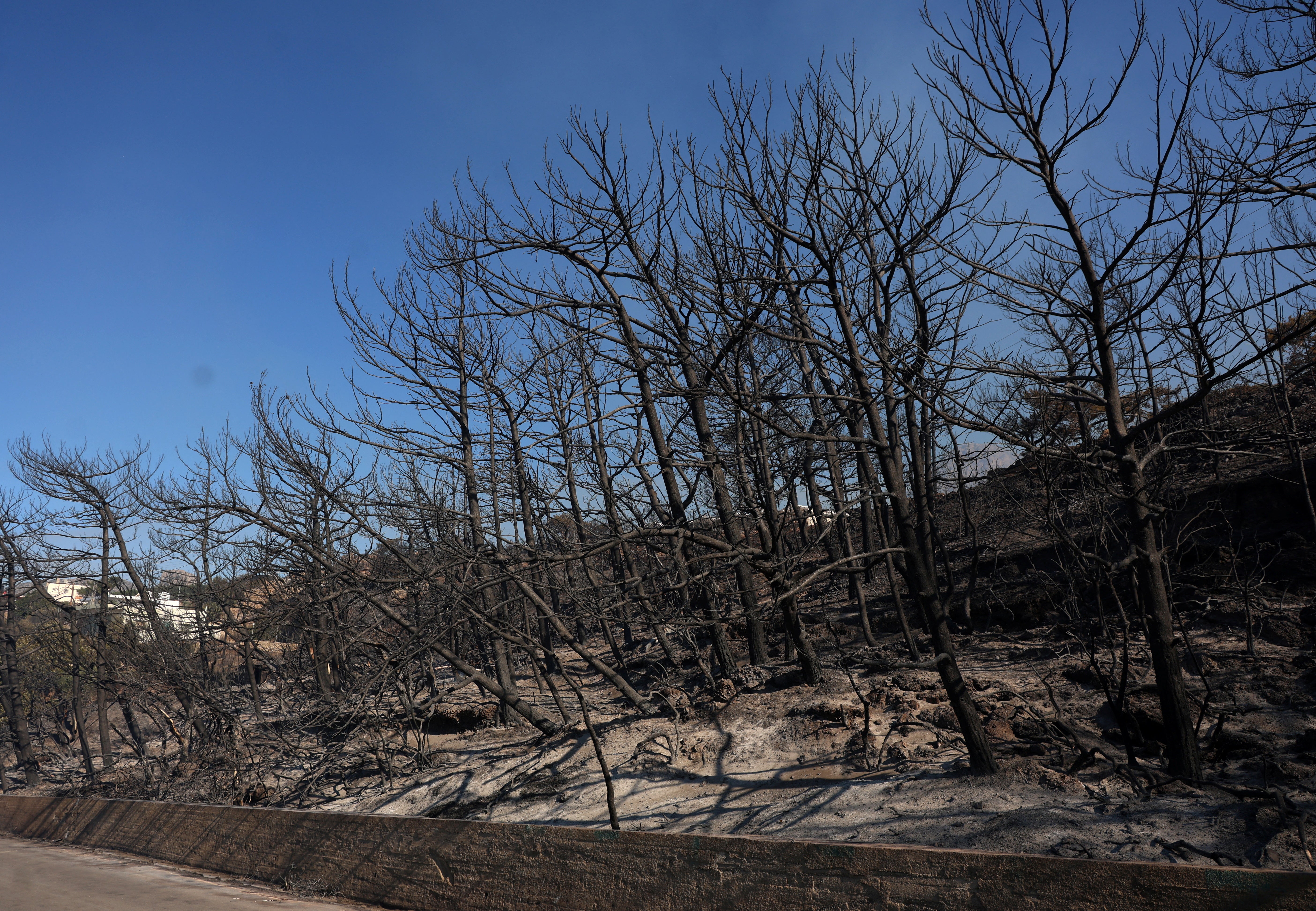 Wildfire burns in Ierapetra on the island of Crete