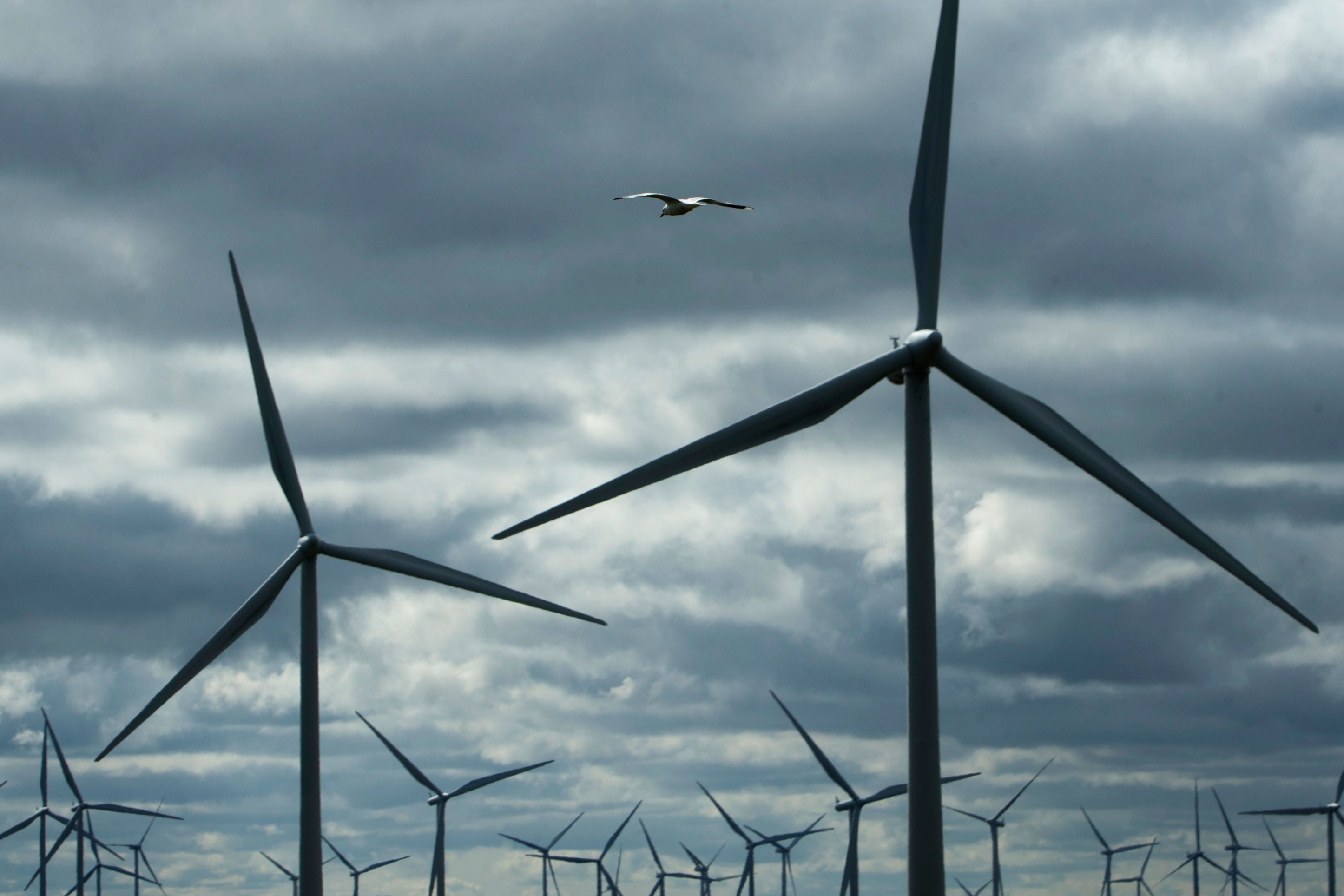 The Government unveiled its onshore wind strategy (Danny Lawson/PA)