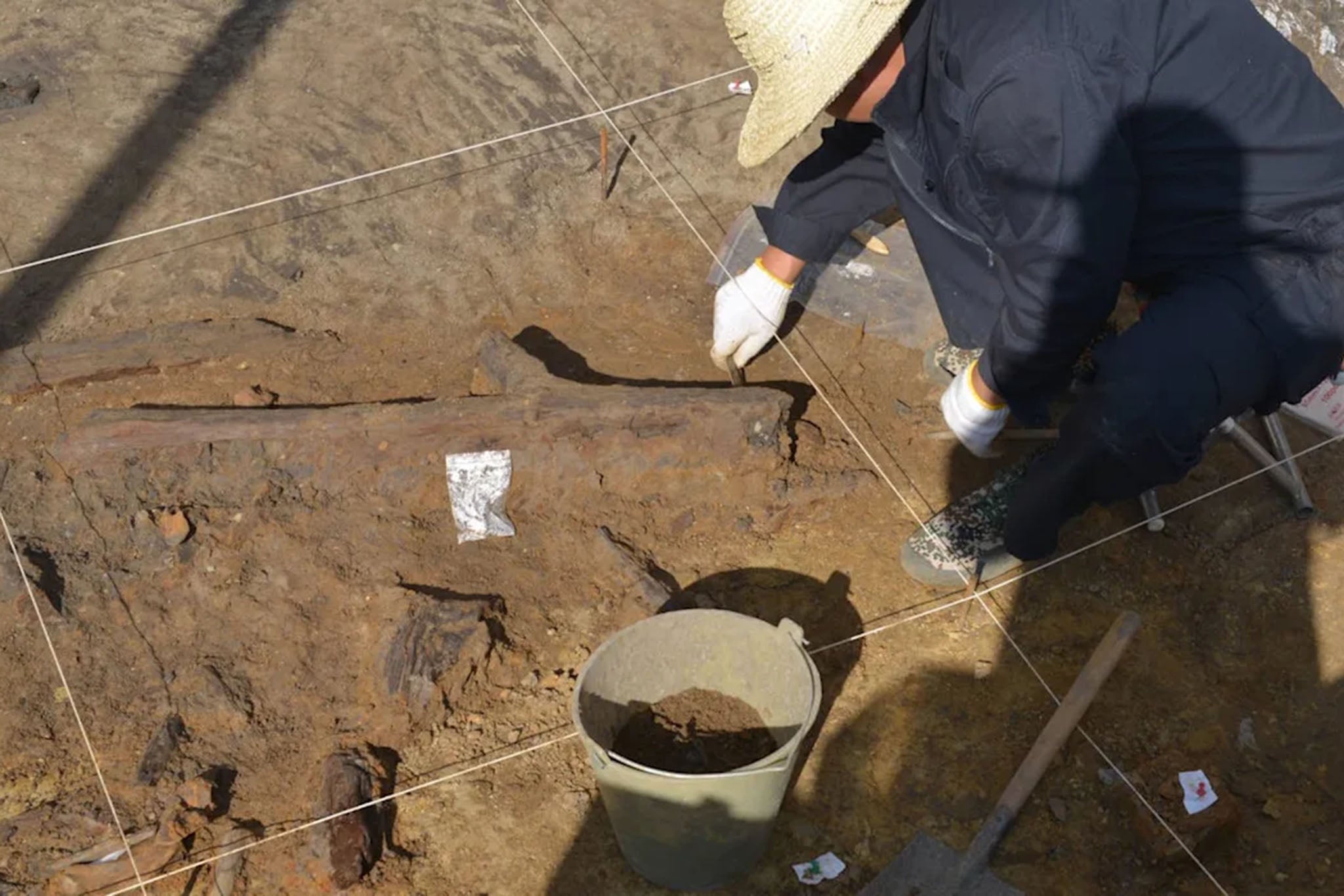 This discovery demonstrates that wooden tools were used by early humans across a broader global range