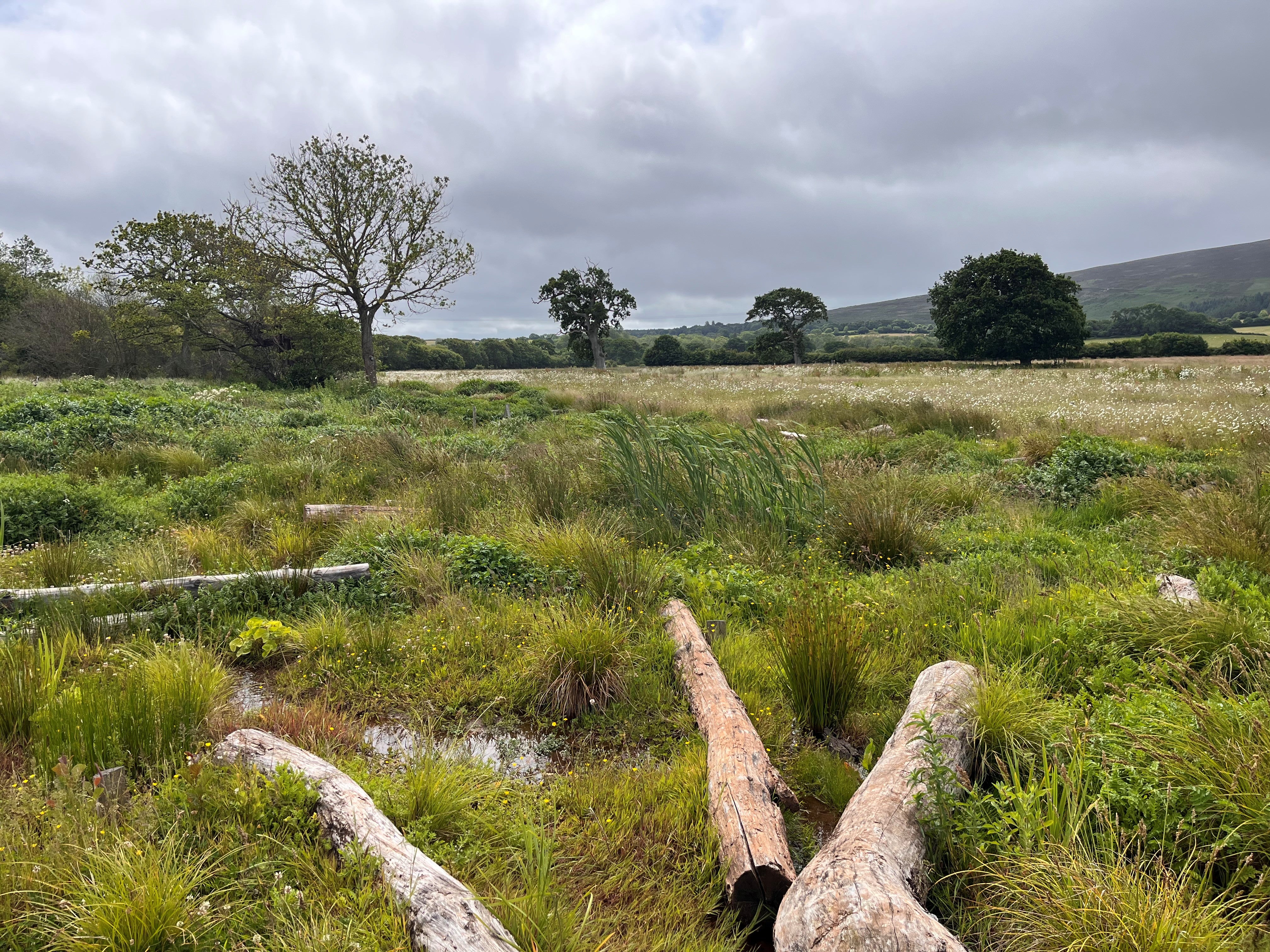 Conservationists have said restoring rivers to a natural state and introducing beavers can help make landscapes resilient to the increasing risk of drought