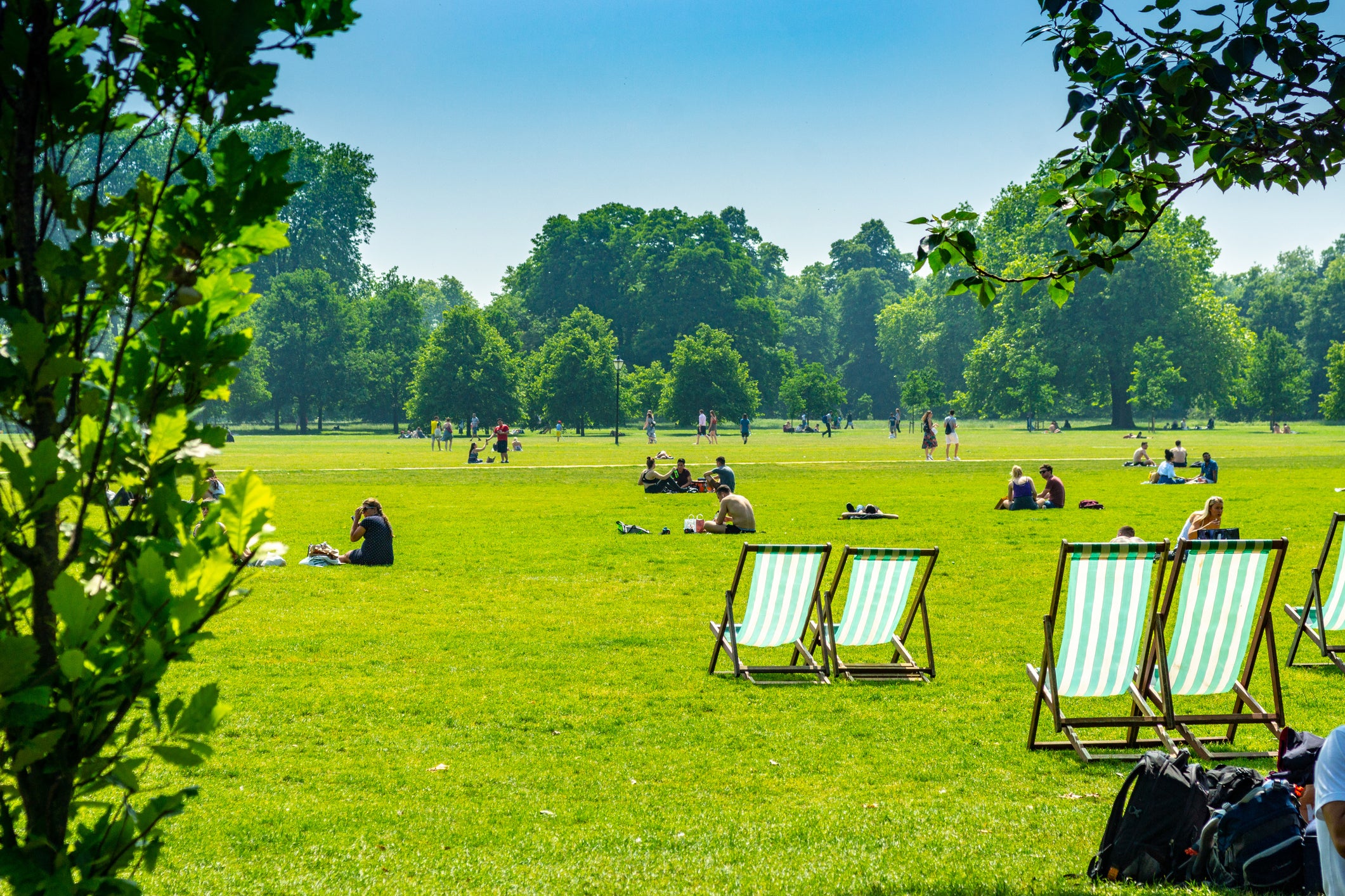 Hampstead Heath in north London is home to grasslands, gardens and ponds for swimming