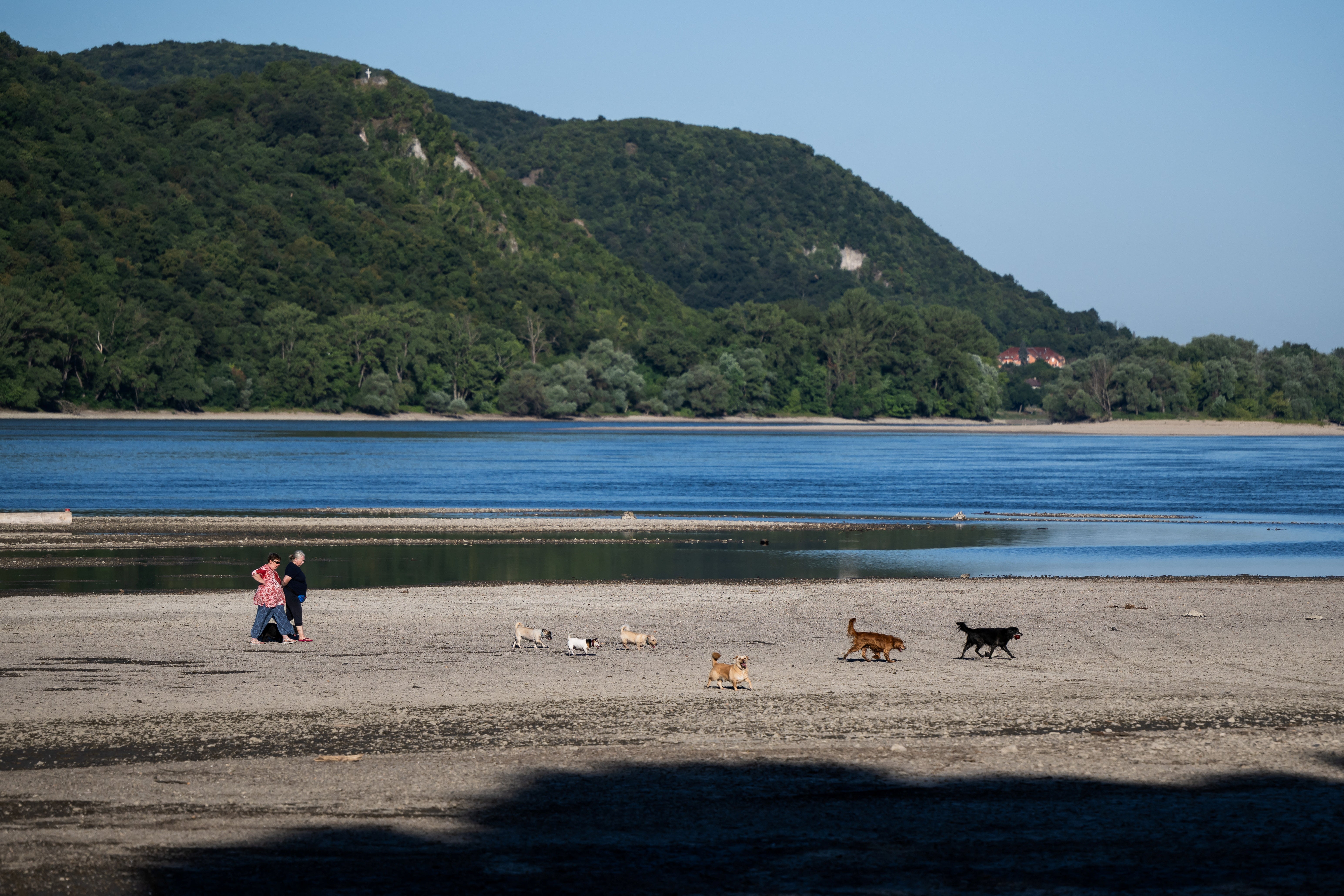 Two women walk their dogs in the riverbed of the Danube during low water levels near Szob, Hungary