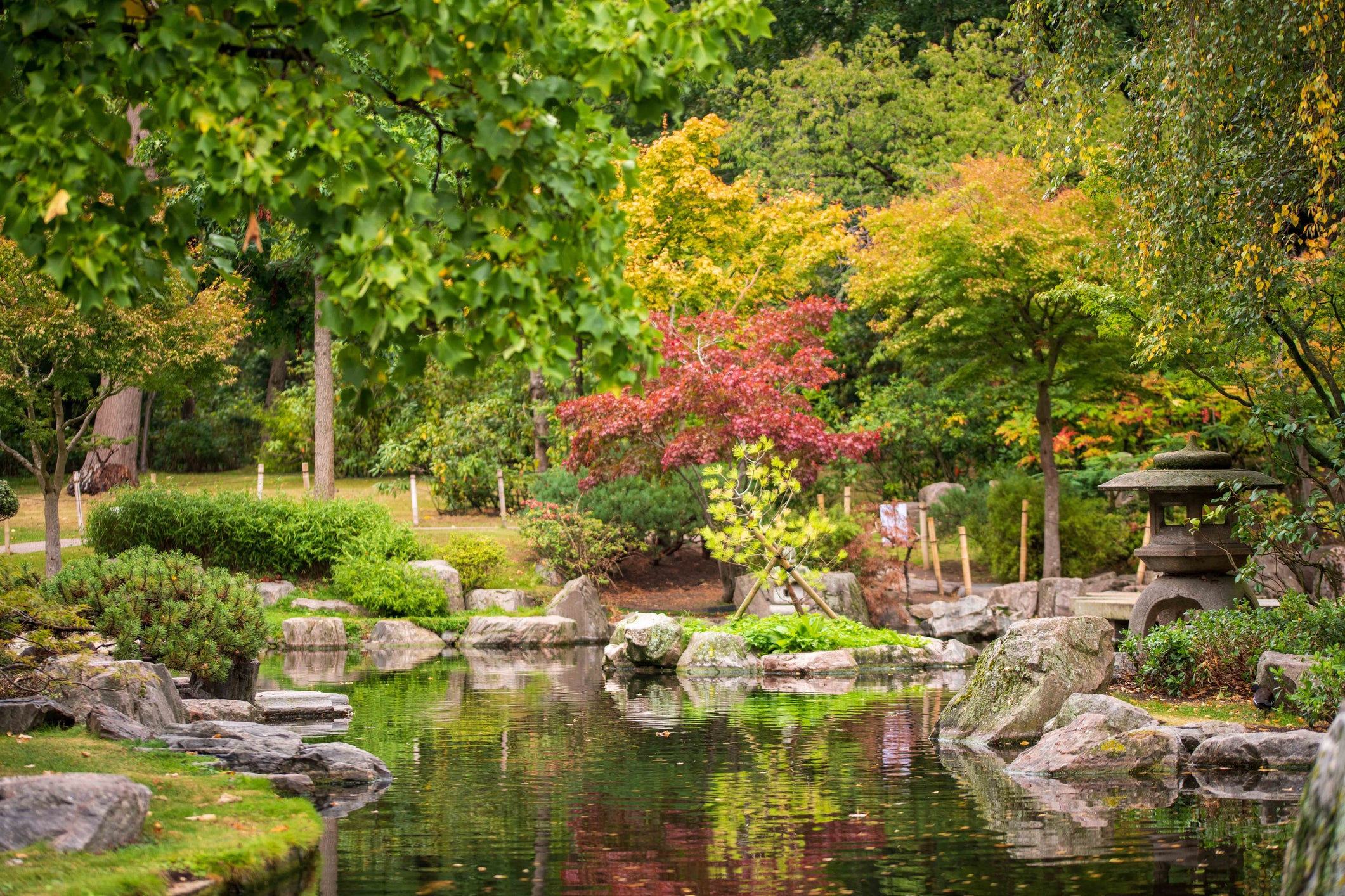 Kyoto Gardens in Holland Park is a calming addition to the city