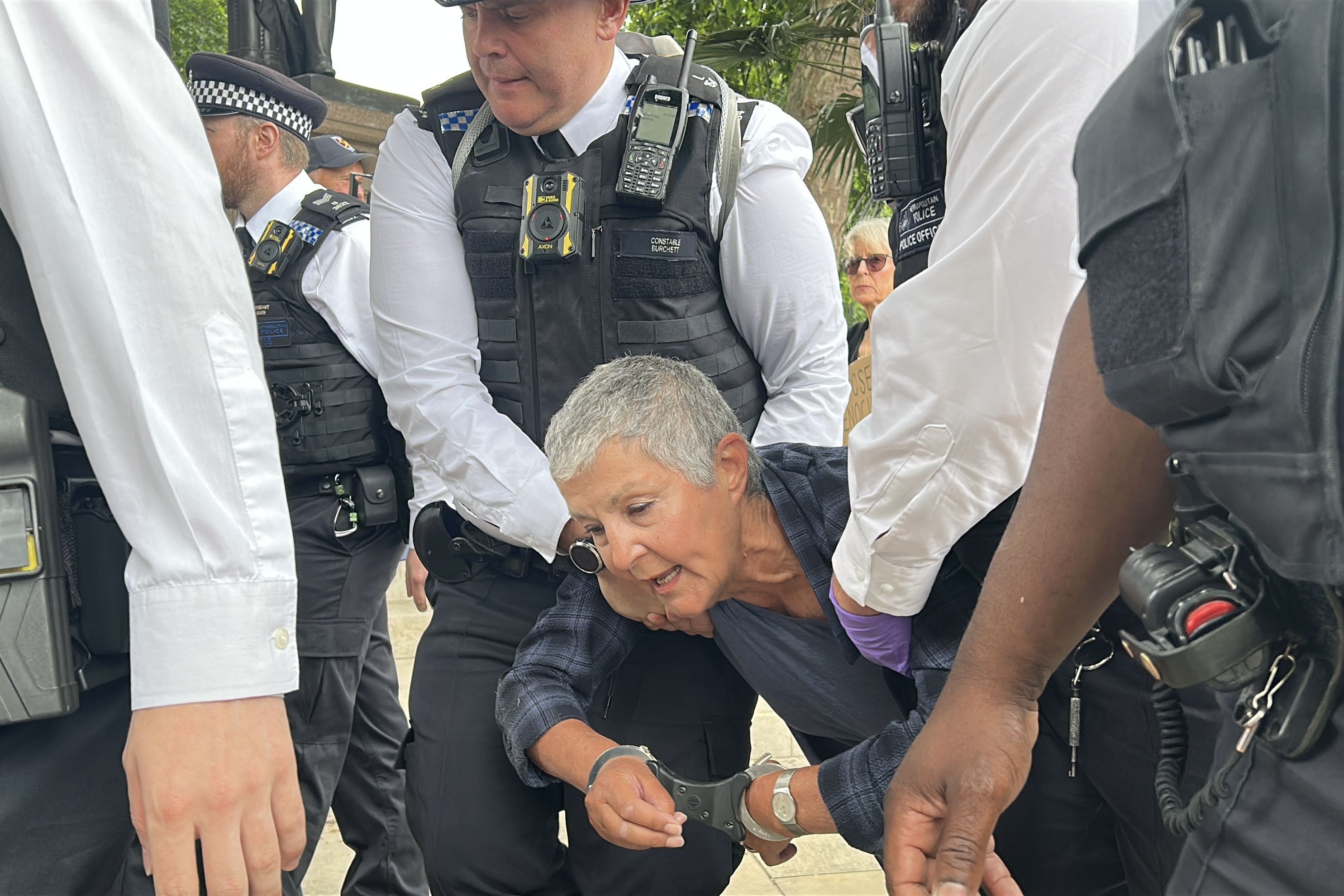Metropolitan Police officers remove people from a protest in support of Palestine Action in Parliament Square, London (Pol Allingham/PA)