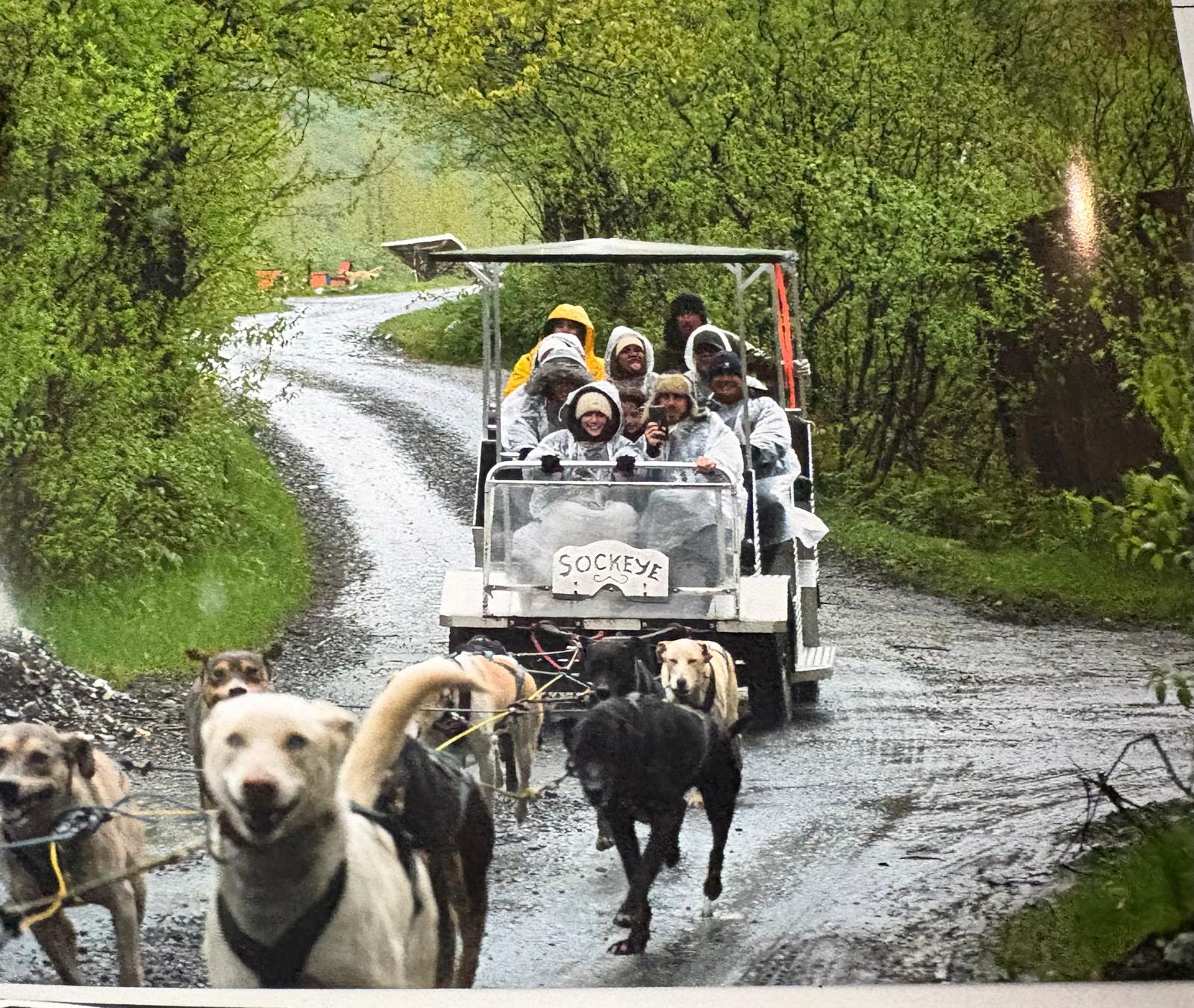 The Shoffman family had a go at dog mushing in Alaska