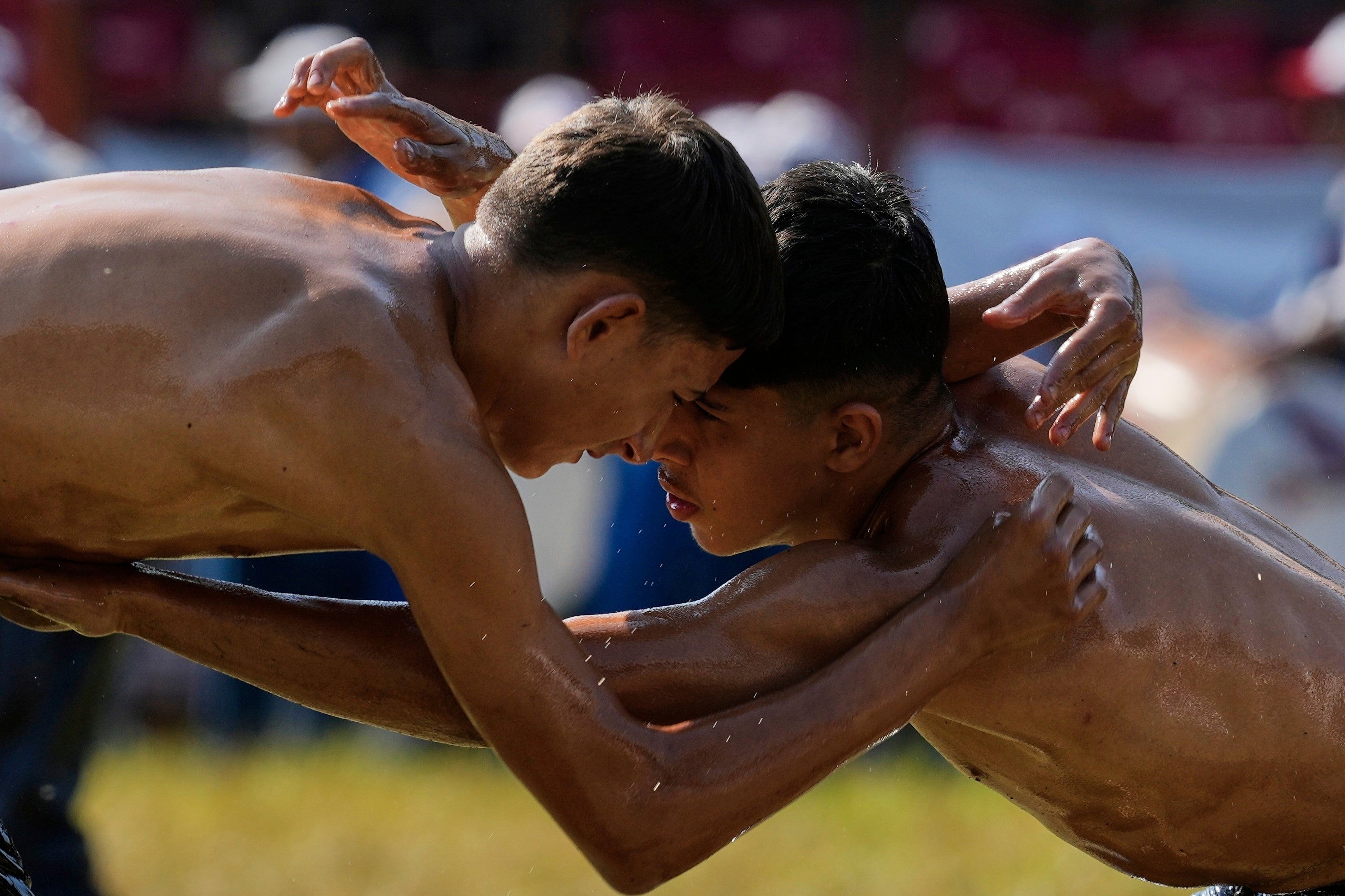 Turkey Youth Wrestling Photo Gallery